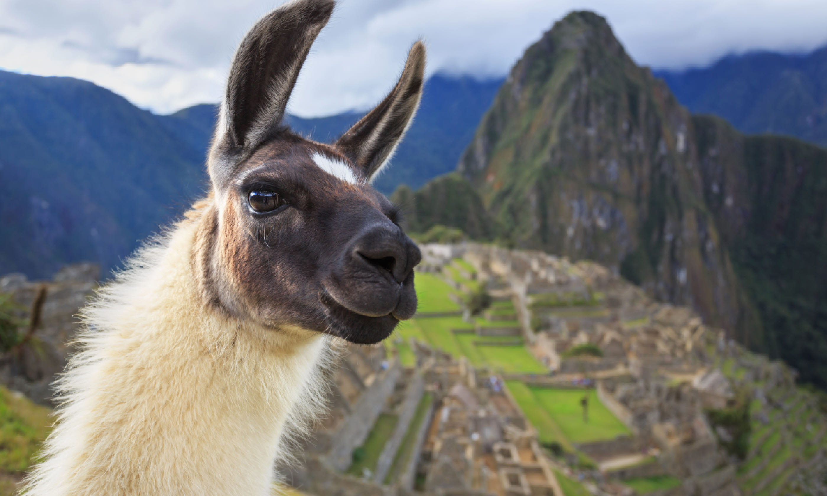 Machu Picchu, Peru (Shutterstock)