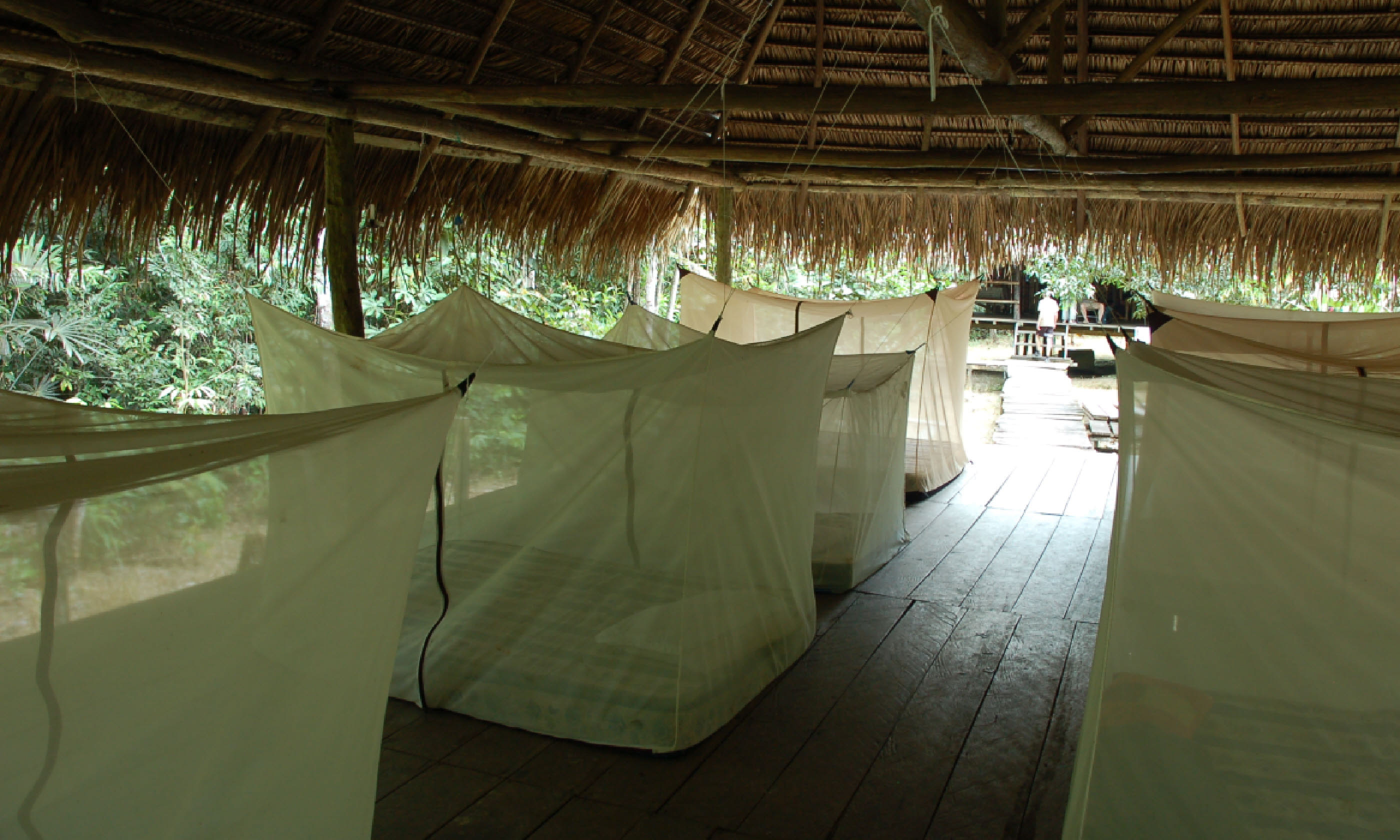 Mosquito nets in the Amazon (Shutterstock)