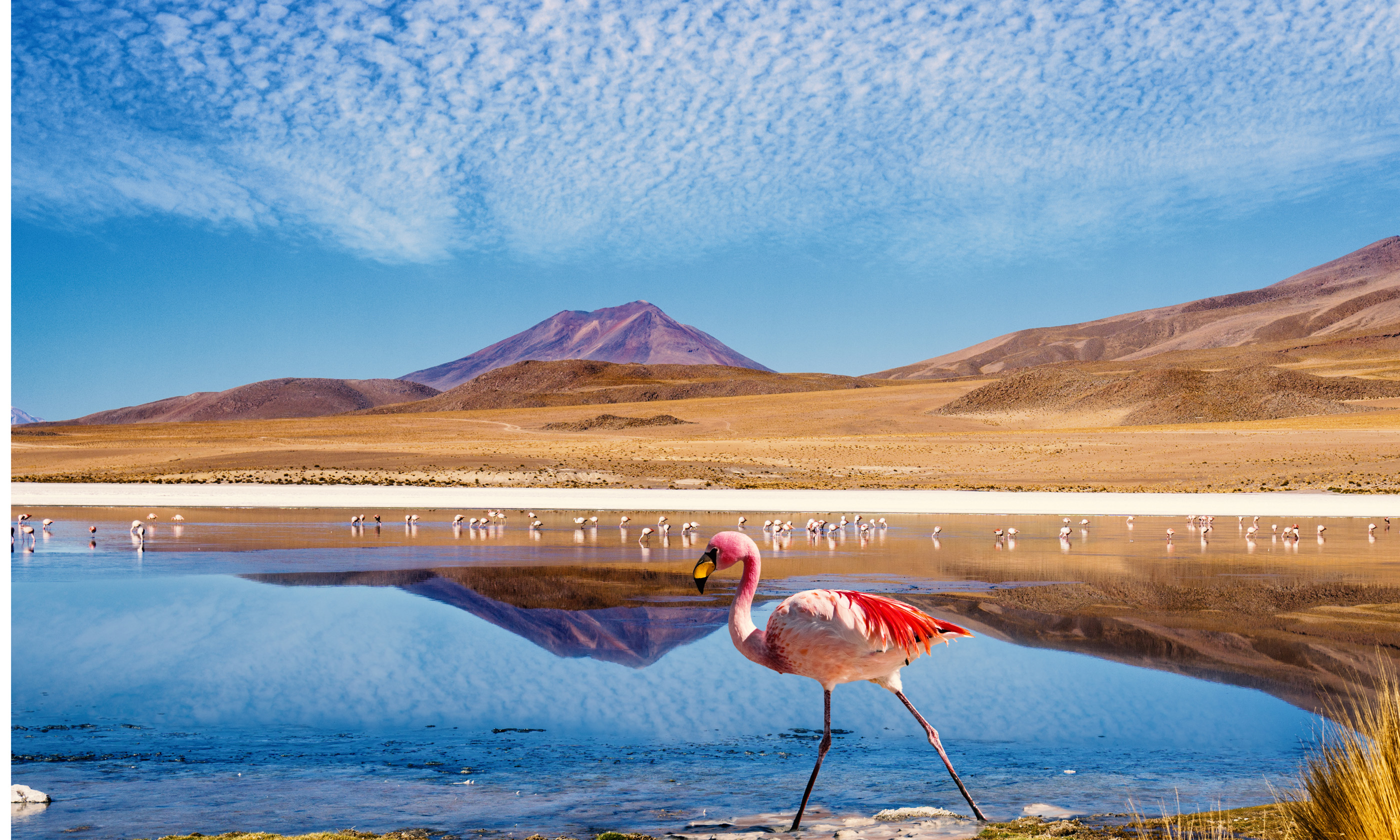 Laguna at Ruta de las Joyas Altoandinas (Shutterstock.com)