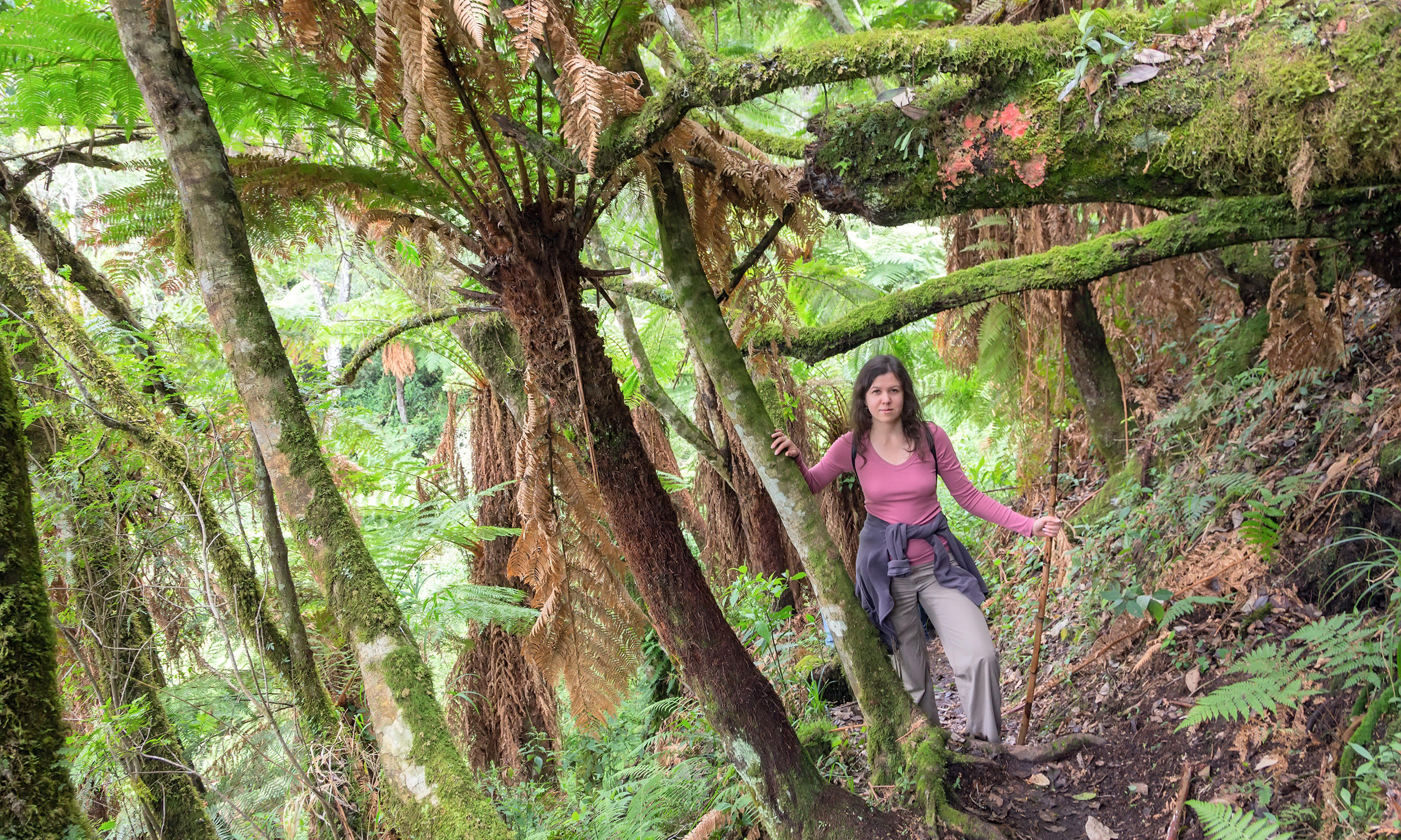 Woman hiking through Bolivian jungle (Shutterstock.com)