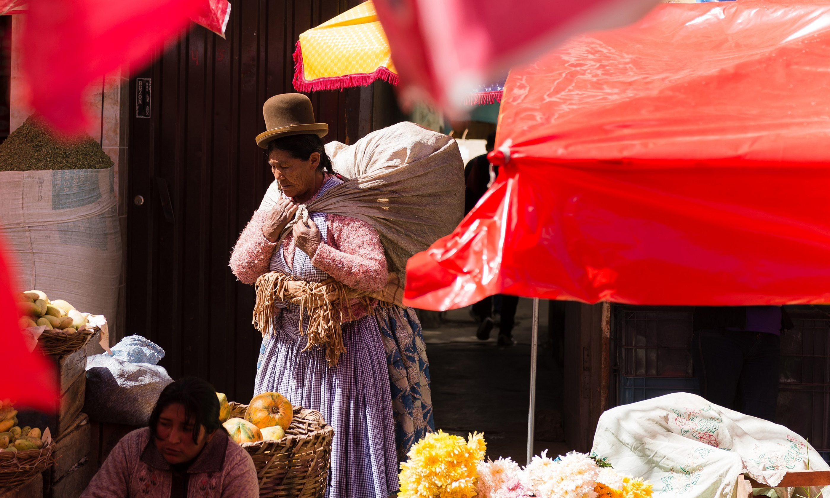 Local lady wandering through market, La Paz (Shutterstock.com)
