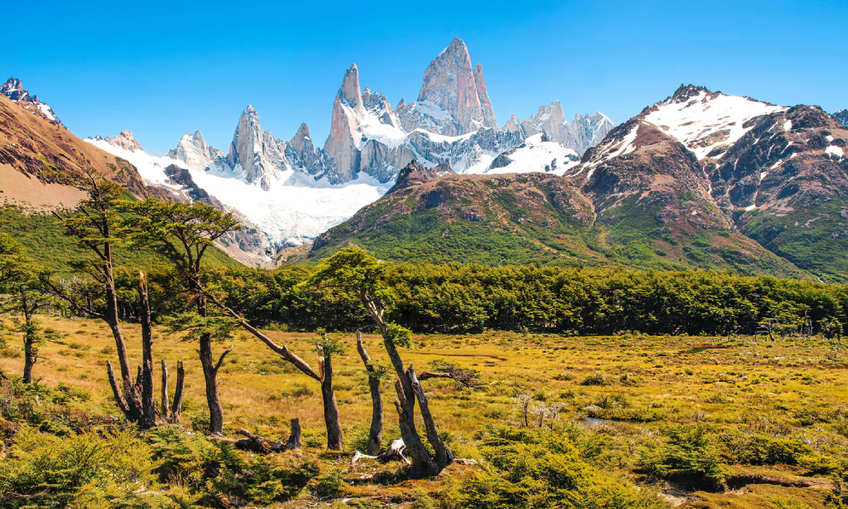 Los Glaciares National Park, Patagonia, Argentina (Shutterstock: see credit below)