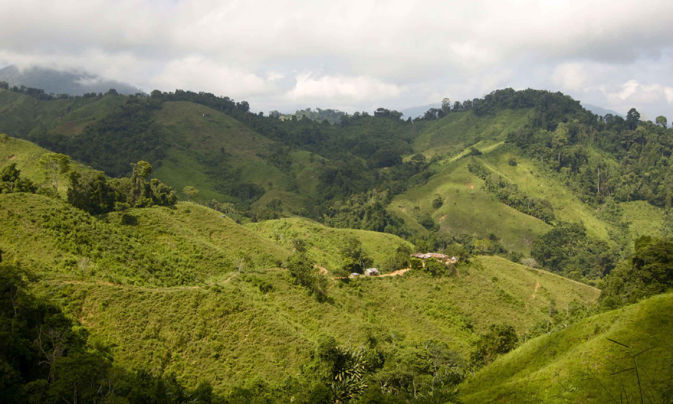 Trekking through the jungle in Colombia (Shutterstock)