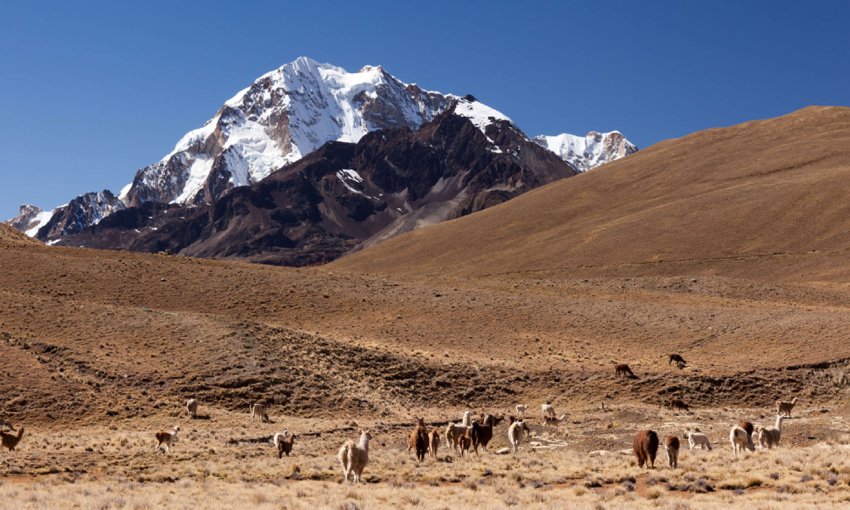 Condoriri Trek (Shutterstock)