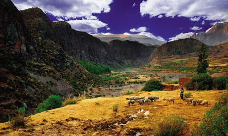 The Colca Valley in Peru is a good a places as any to hike independently as long as you stay safe (dreamstime)