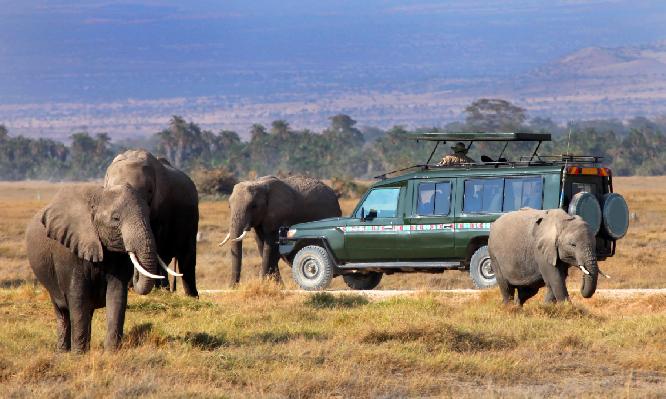 Safari game drive with elephants (Shutterstock: see credit below)