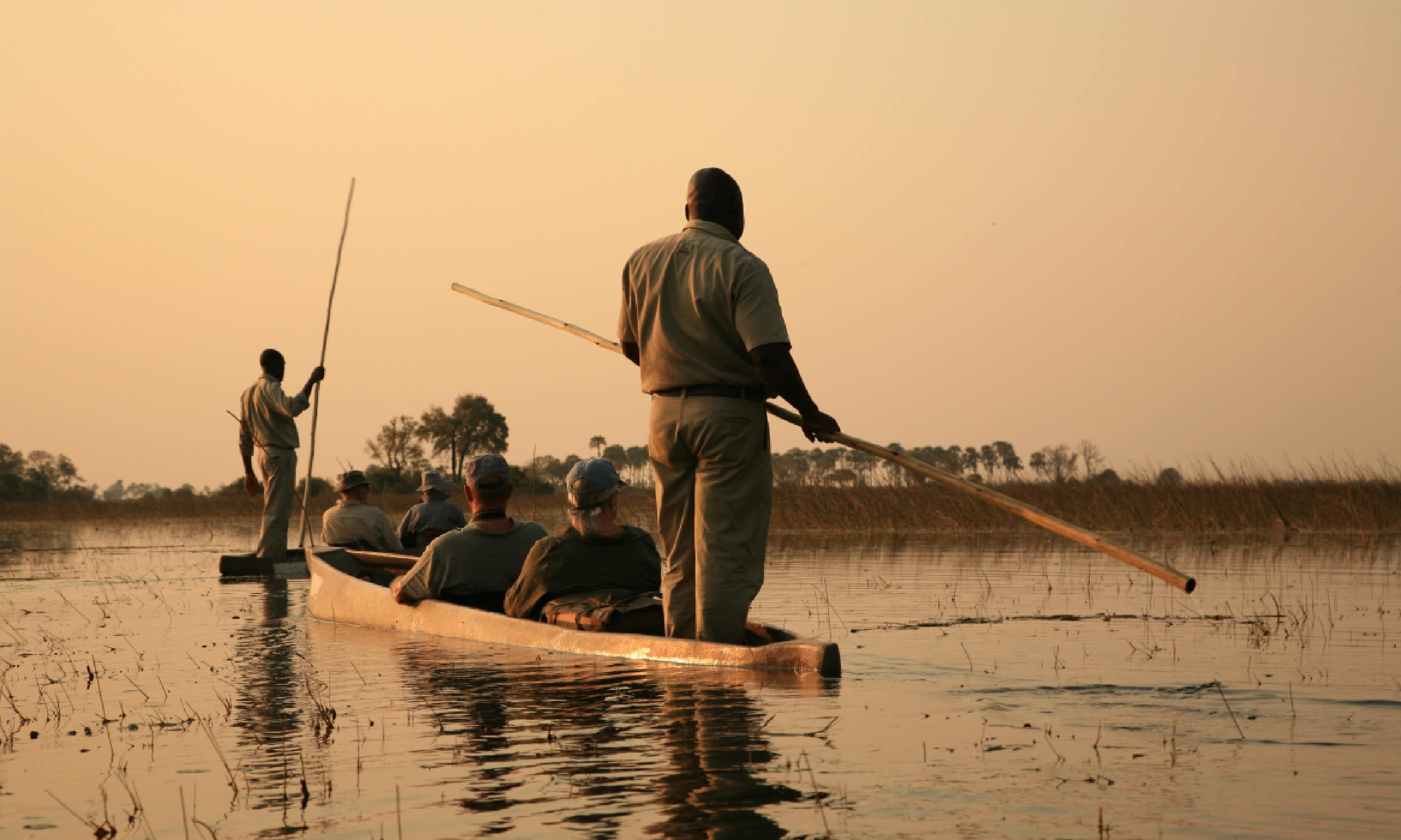 The Okavango Delta, Botswana (Shutterstock: see credit below)