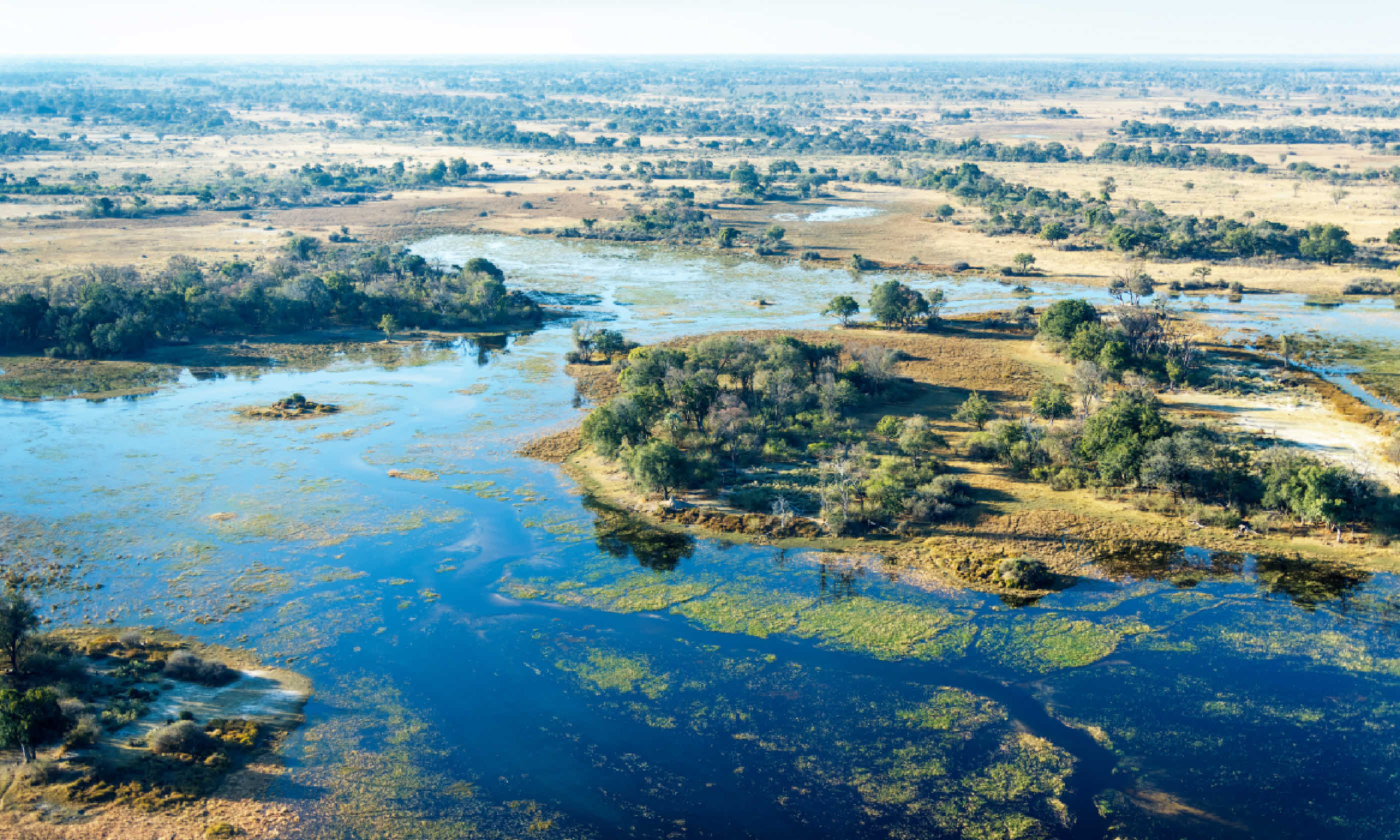 Okavango Delta aerial view (Shutterstock)