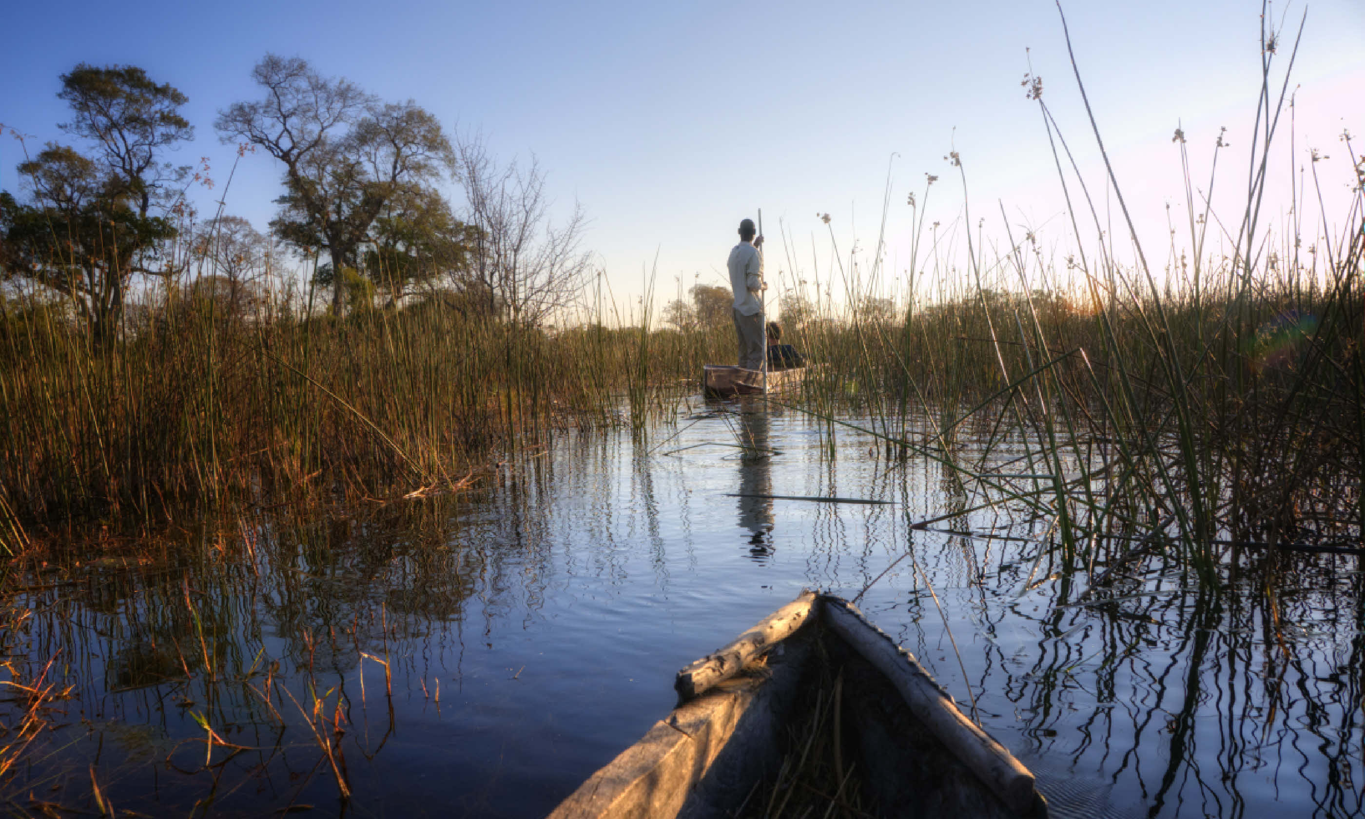 Boat trip in Okavango Delta (Shutterstock)