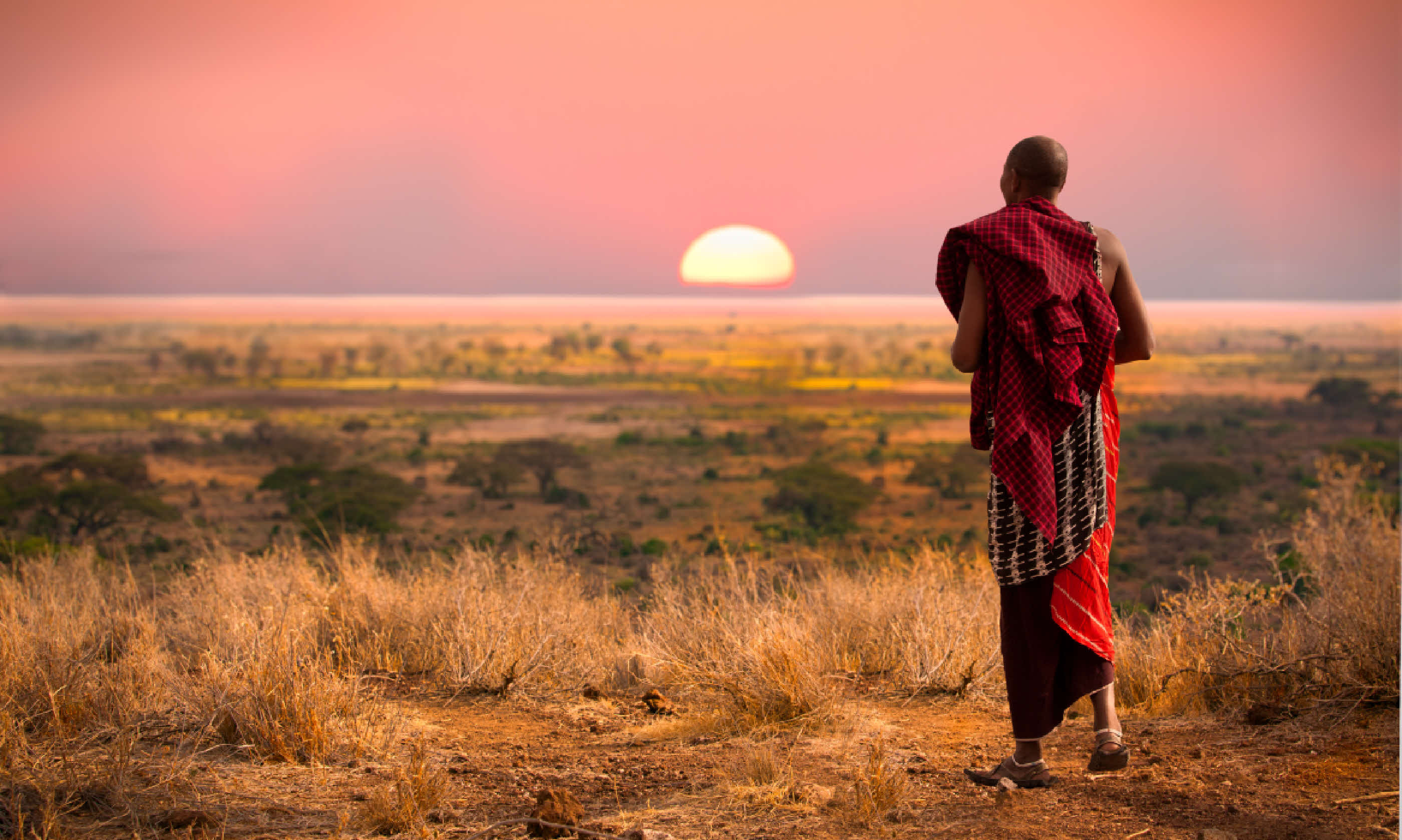 Serengeti, Tanzania (Shutterstock: see credit below)