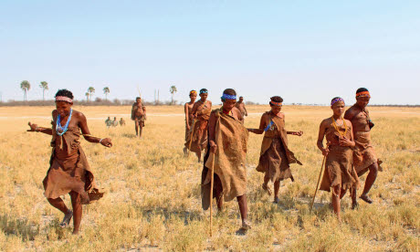 Xushe Xwil leads a group of Ju'/hoansi tribe women across the grasslands around the Makgadikgadi Pans (Graeme Green)
