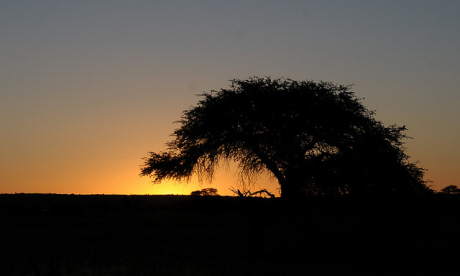Kalahari sunset (Brian Ralphs)