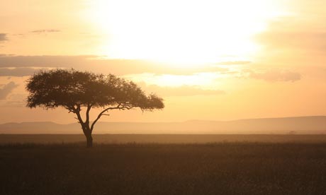 Catch sunrise over the Serengeti - or find your own safari style (Koen Muurling)