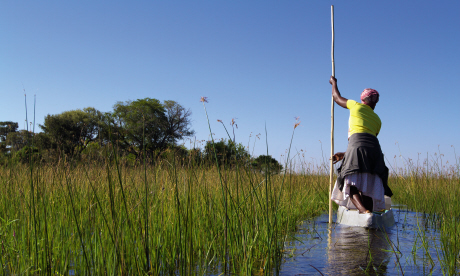 Cruise the Okavango in the green season (Shutterstock)