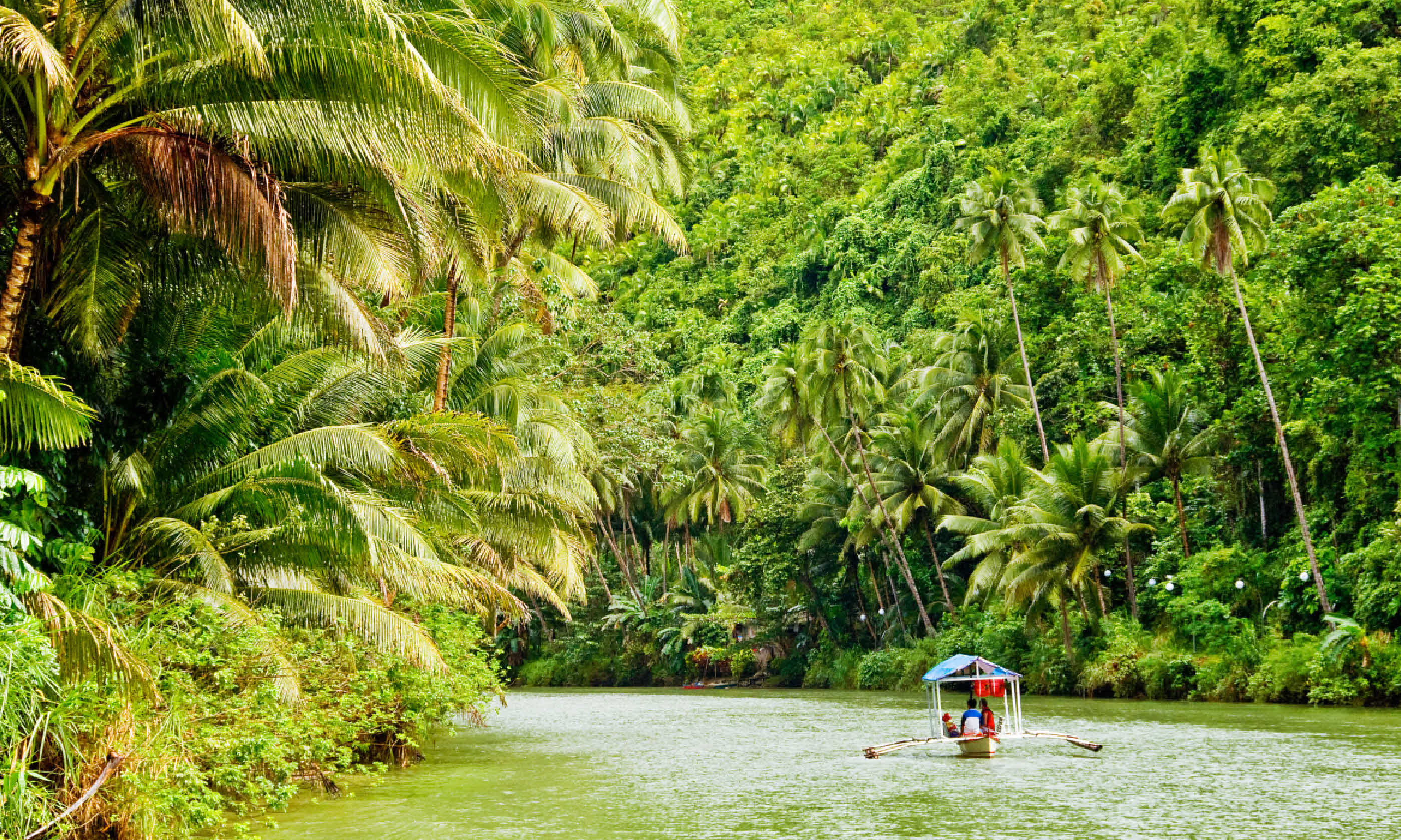 Cruising through the Amazon (Shutterstock)