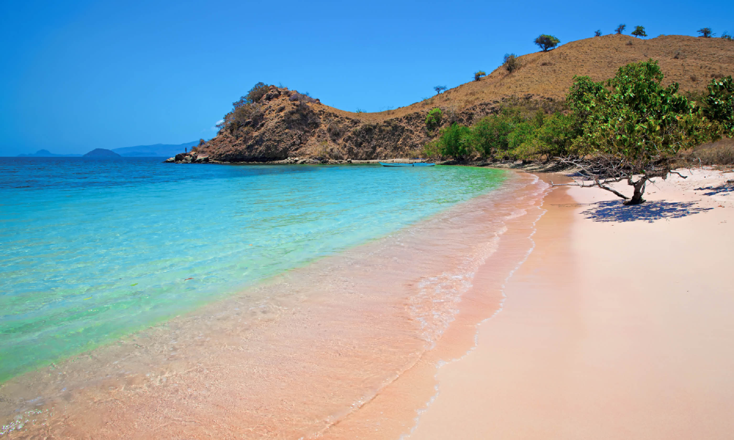 Pink Beach in Komodo National Park (Shutterstock)