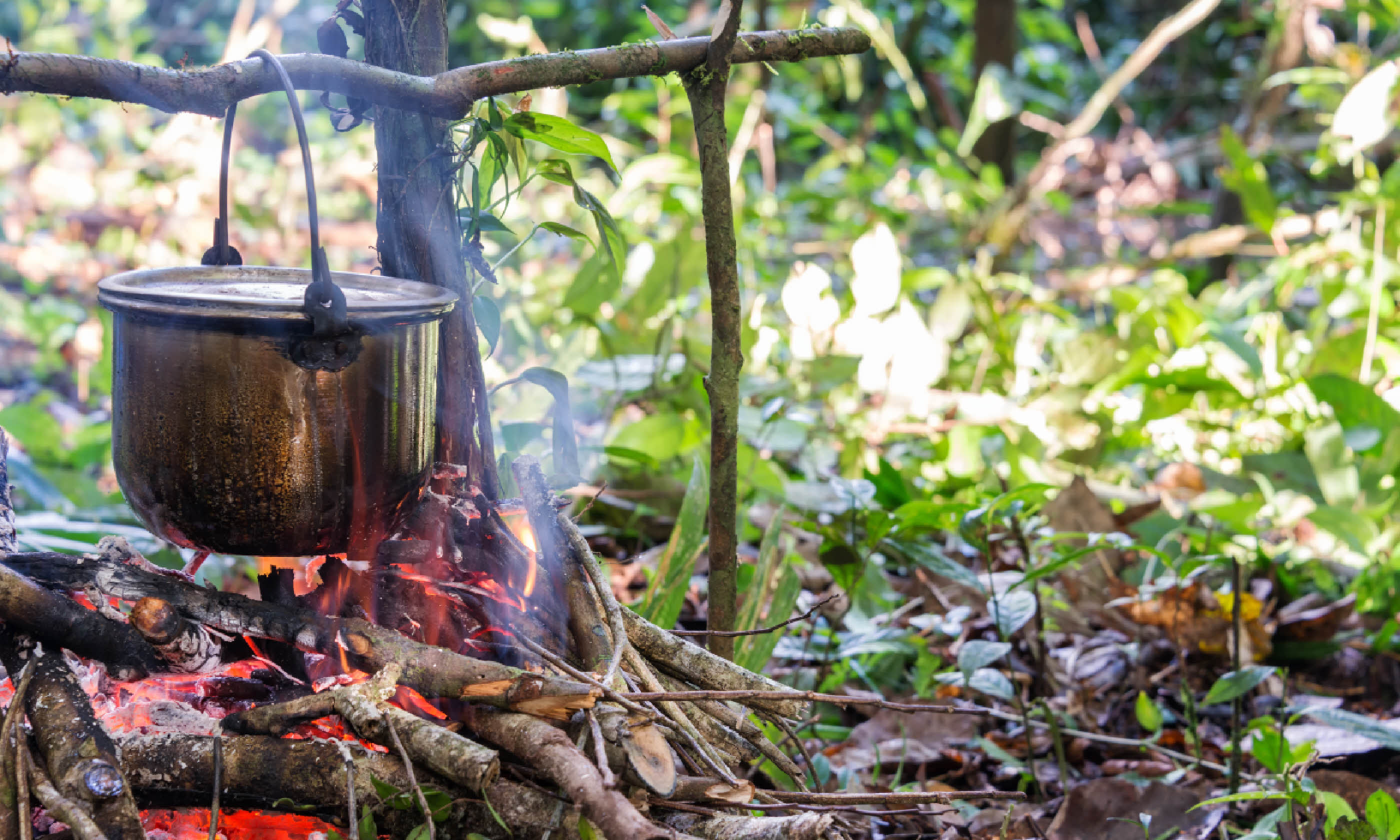Cooking in the Amazon rainforest (Shutterstock)