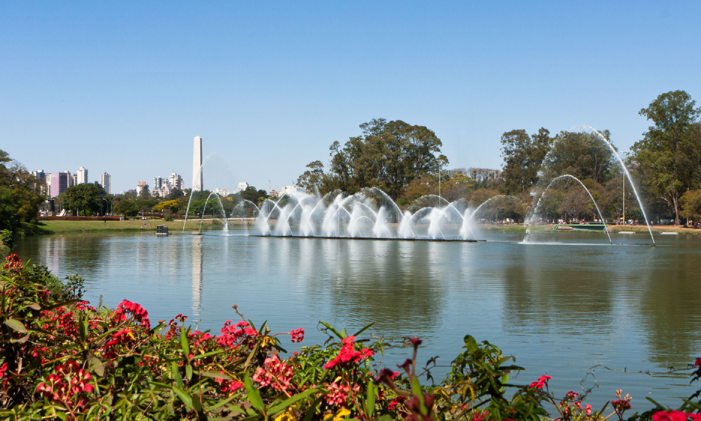 Fountain at Ibirapuera Park (Shutterstock)