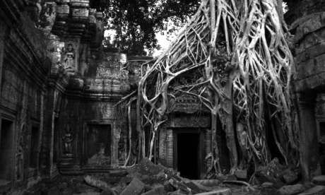 Ta Prohm temple, Angkor Wat (Fred Caws photography)