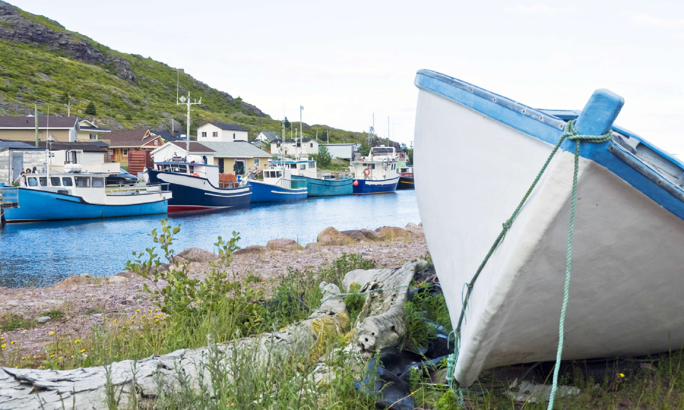 Petty Harbour (Shutterstock)