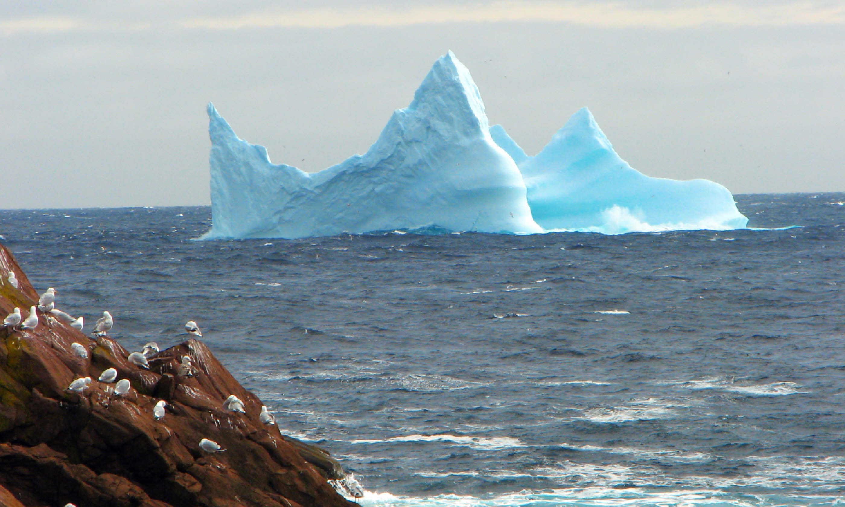 Newfoundland iceberg (Shutterstock)