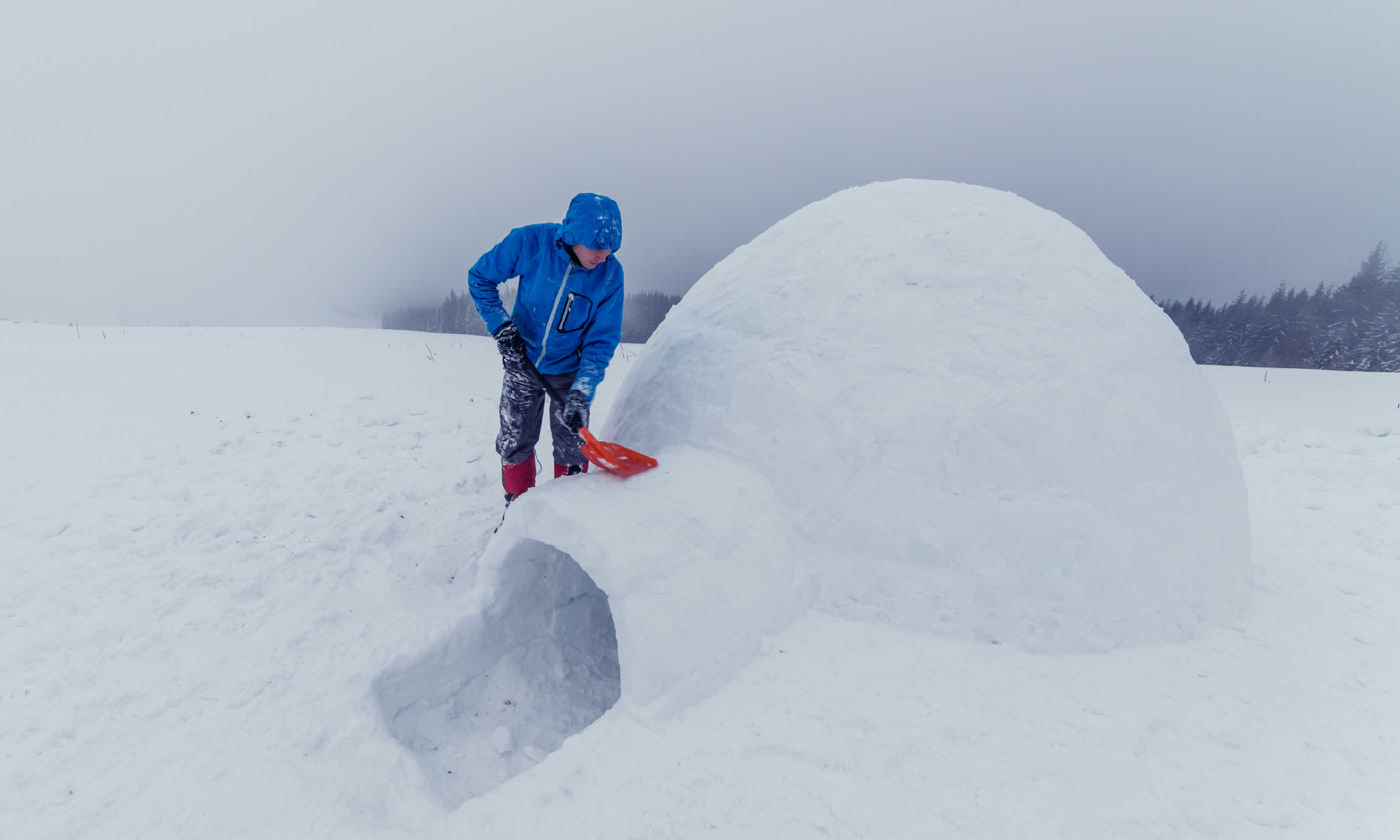 Igloo building (Shutterstock)