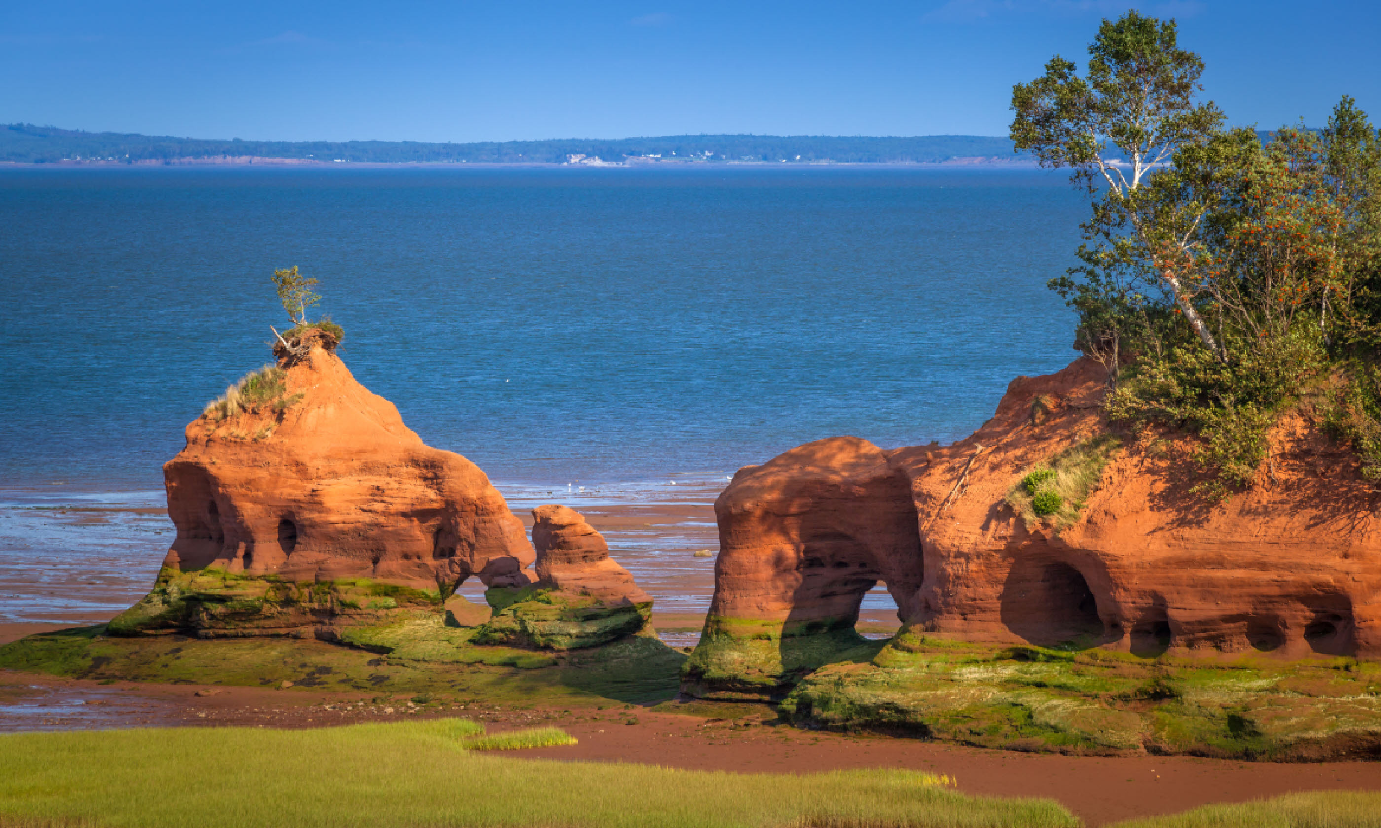 Bay of Fundy, Nova Scotia (Shutterstock)