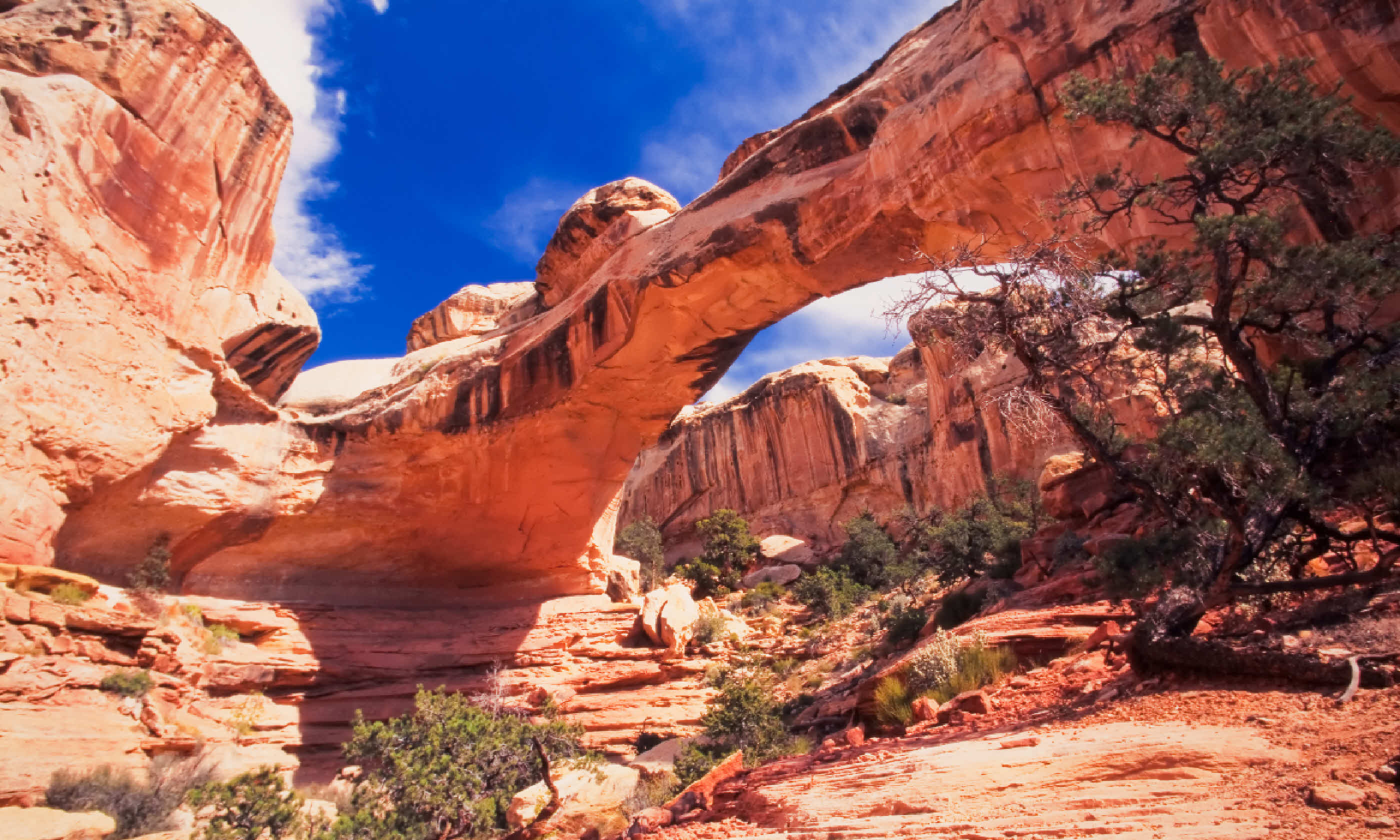 Sipapu Bridge at Natural Bridges National Monument, Utah (Shutterstock)