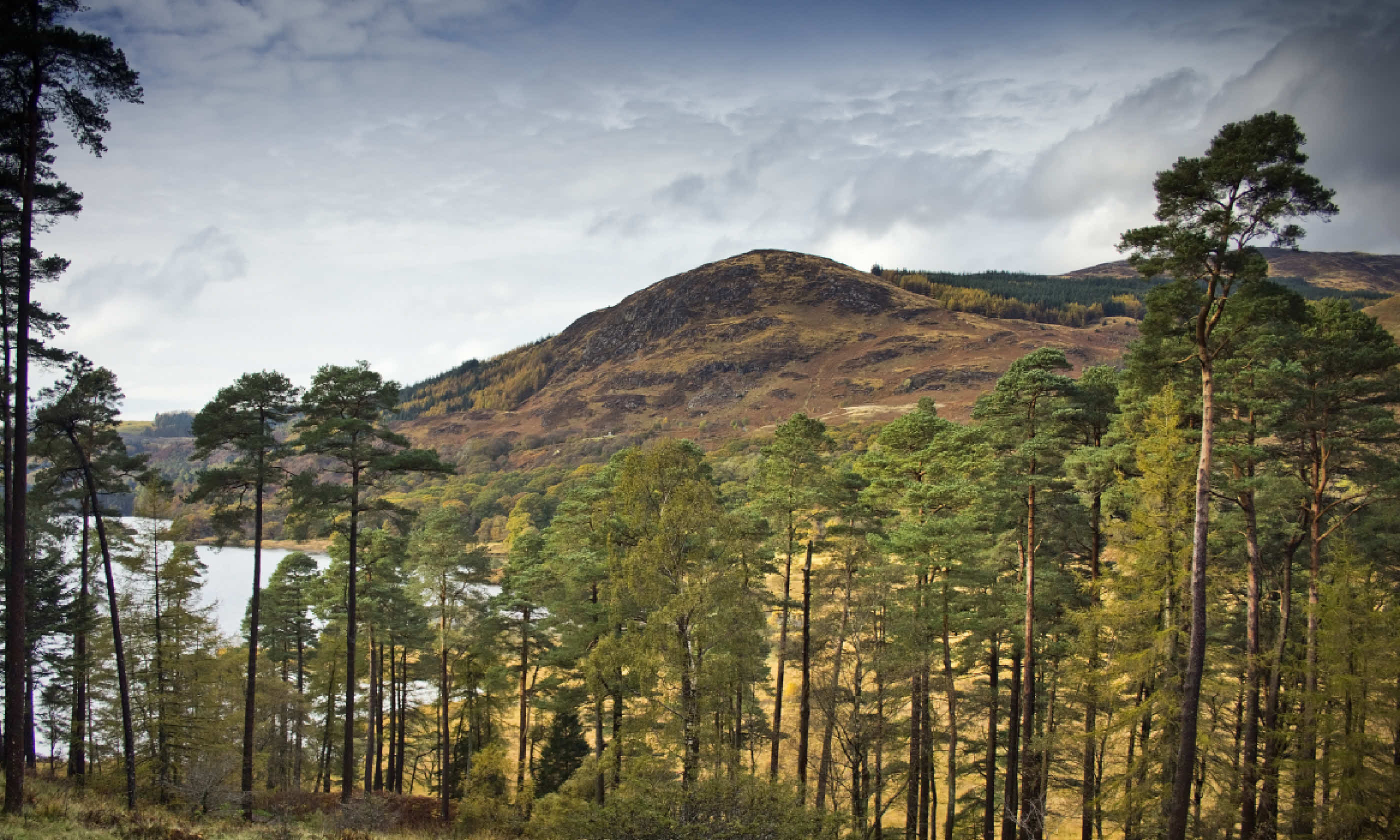 Galloway Forest Park, Dumfries and Galloway (Shutterstock)