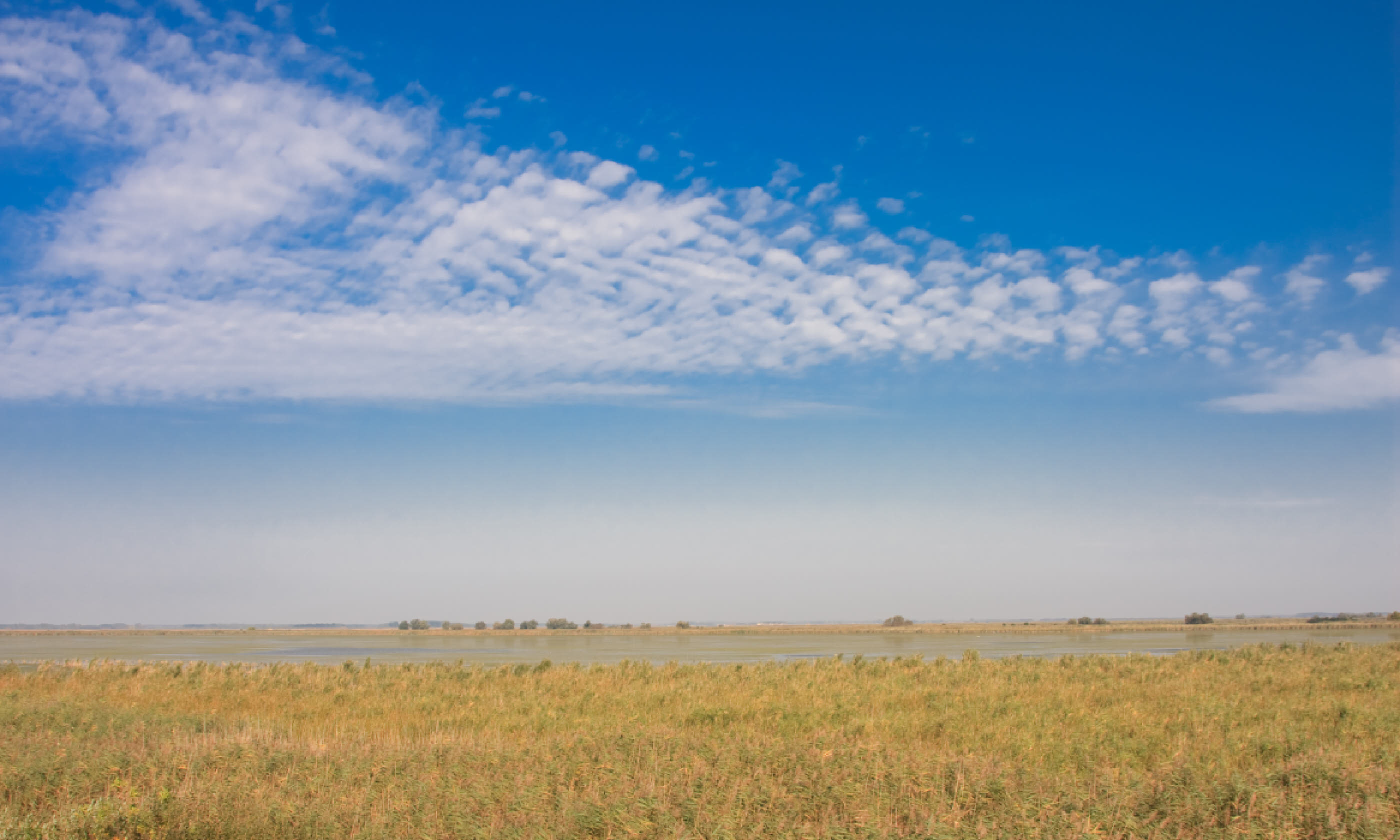 Hortobagy National Park (Shutterstock)