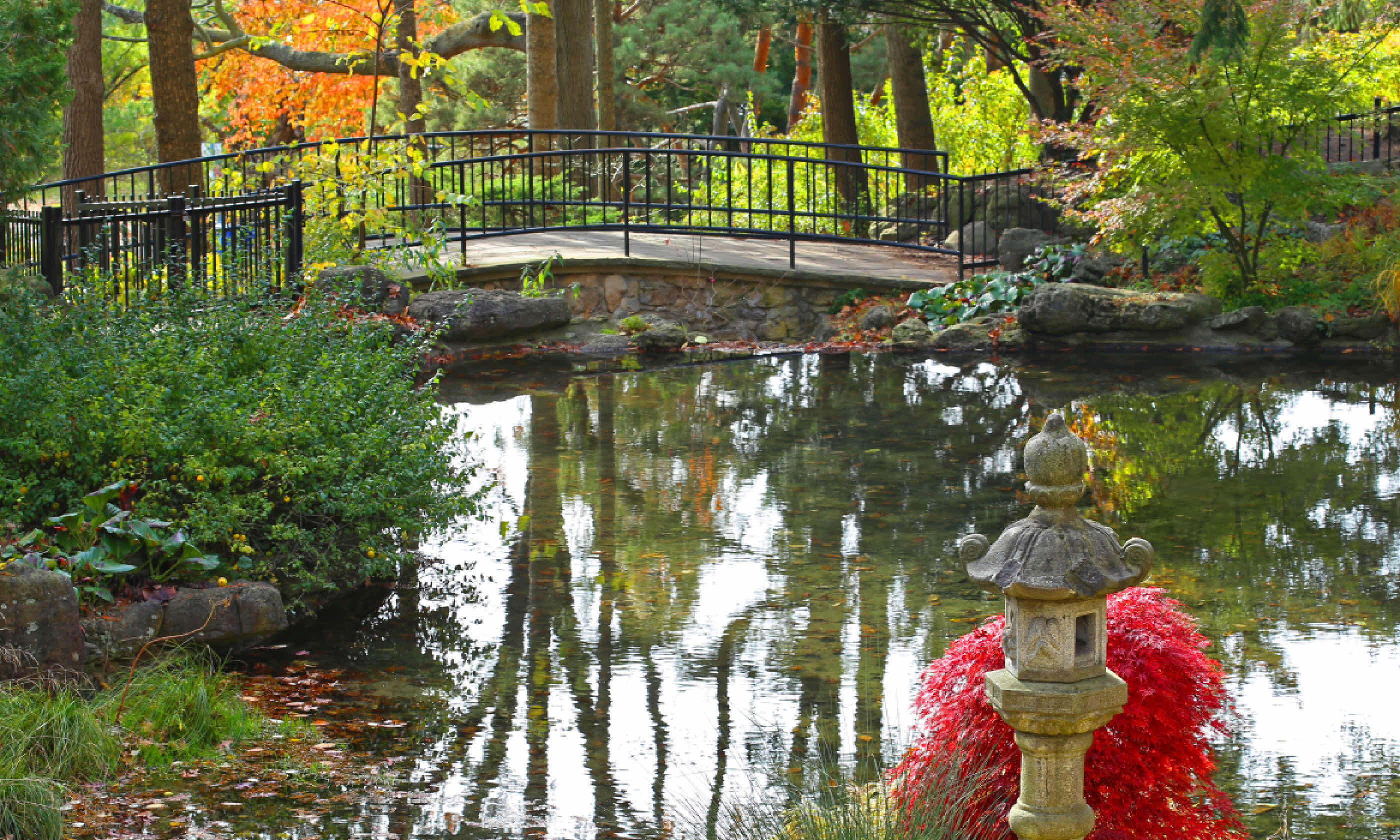 Pond in High Park, Toronto (Shutterstock)