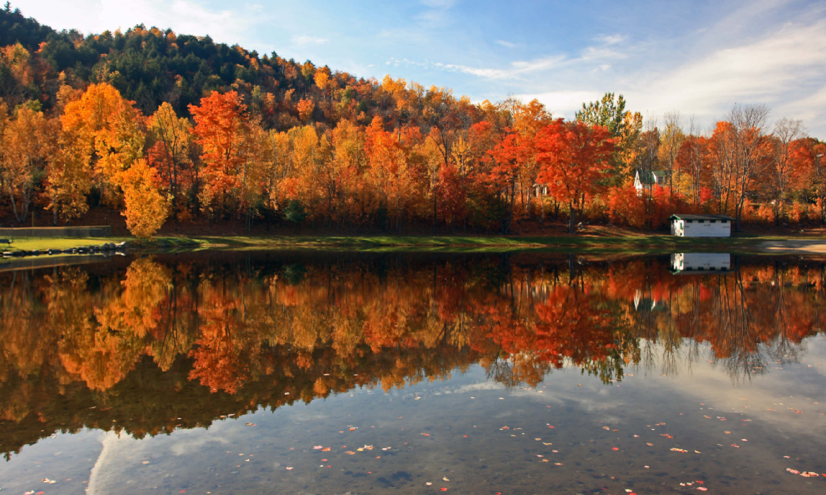 New England foliage along pond with reflection (Shutterstock)