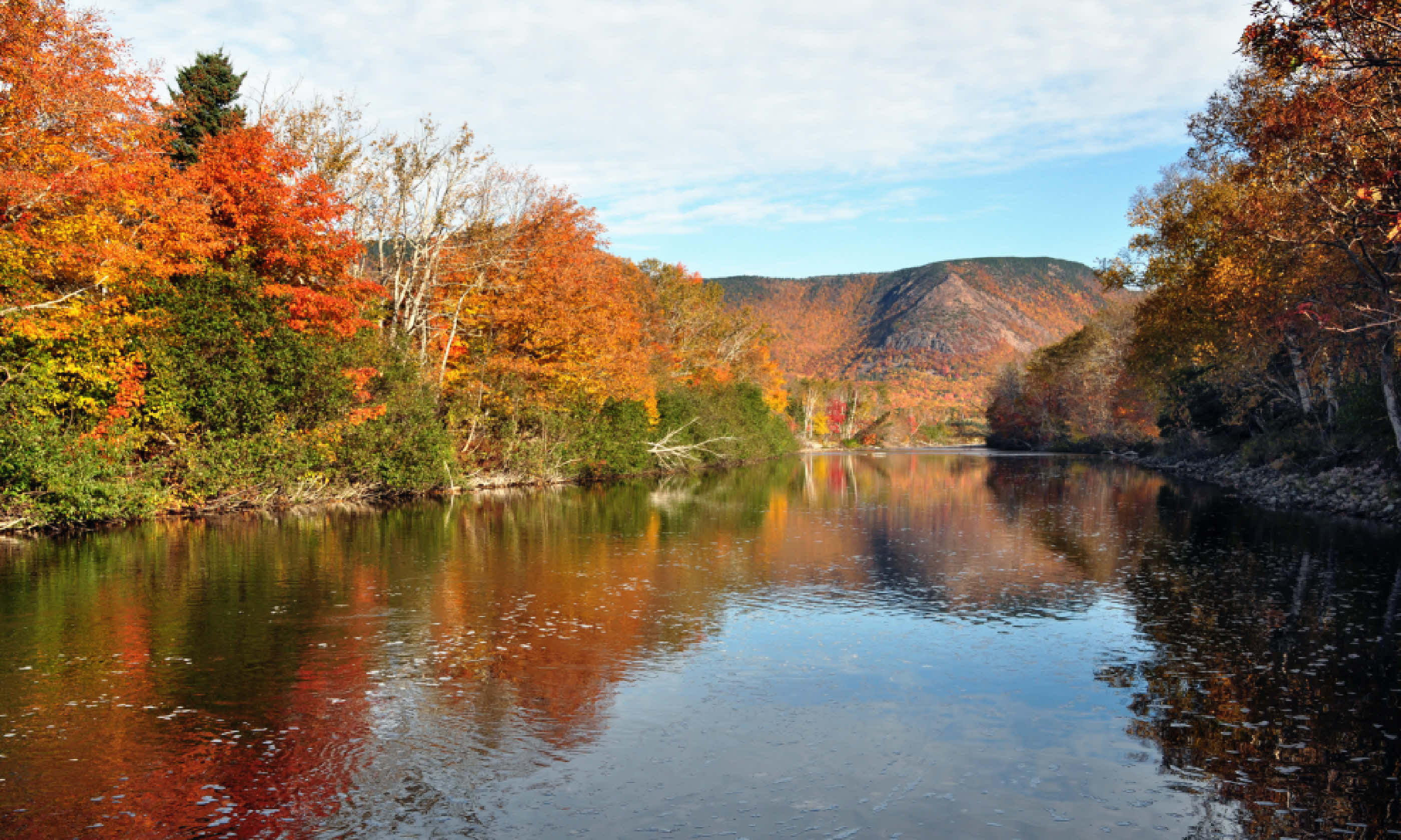 The North Aspy River in Cape Breton, Nova Scotia (Shutterstock)