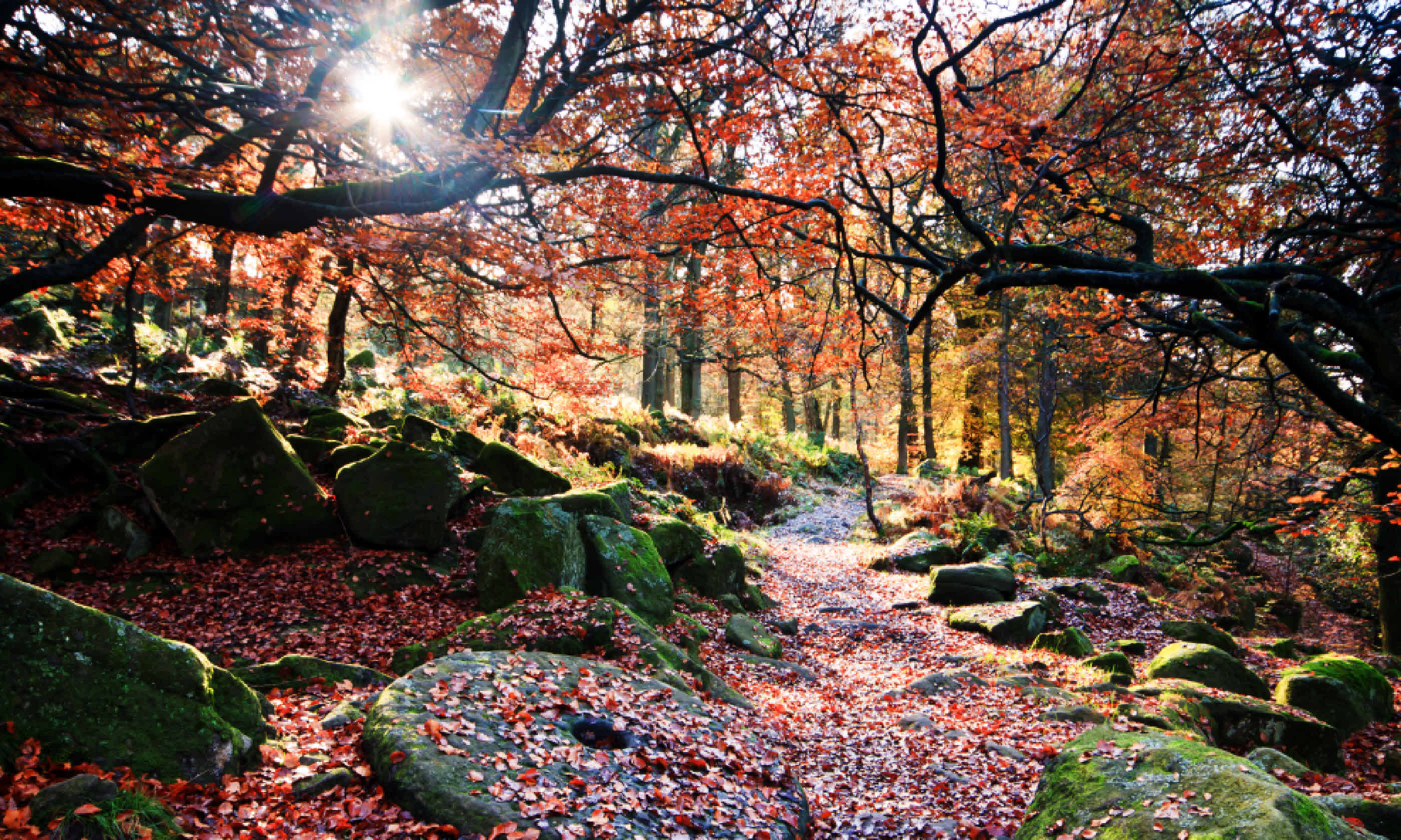 Padley Gorge in its autumn glory (Shutterstock)