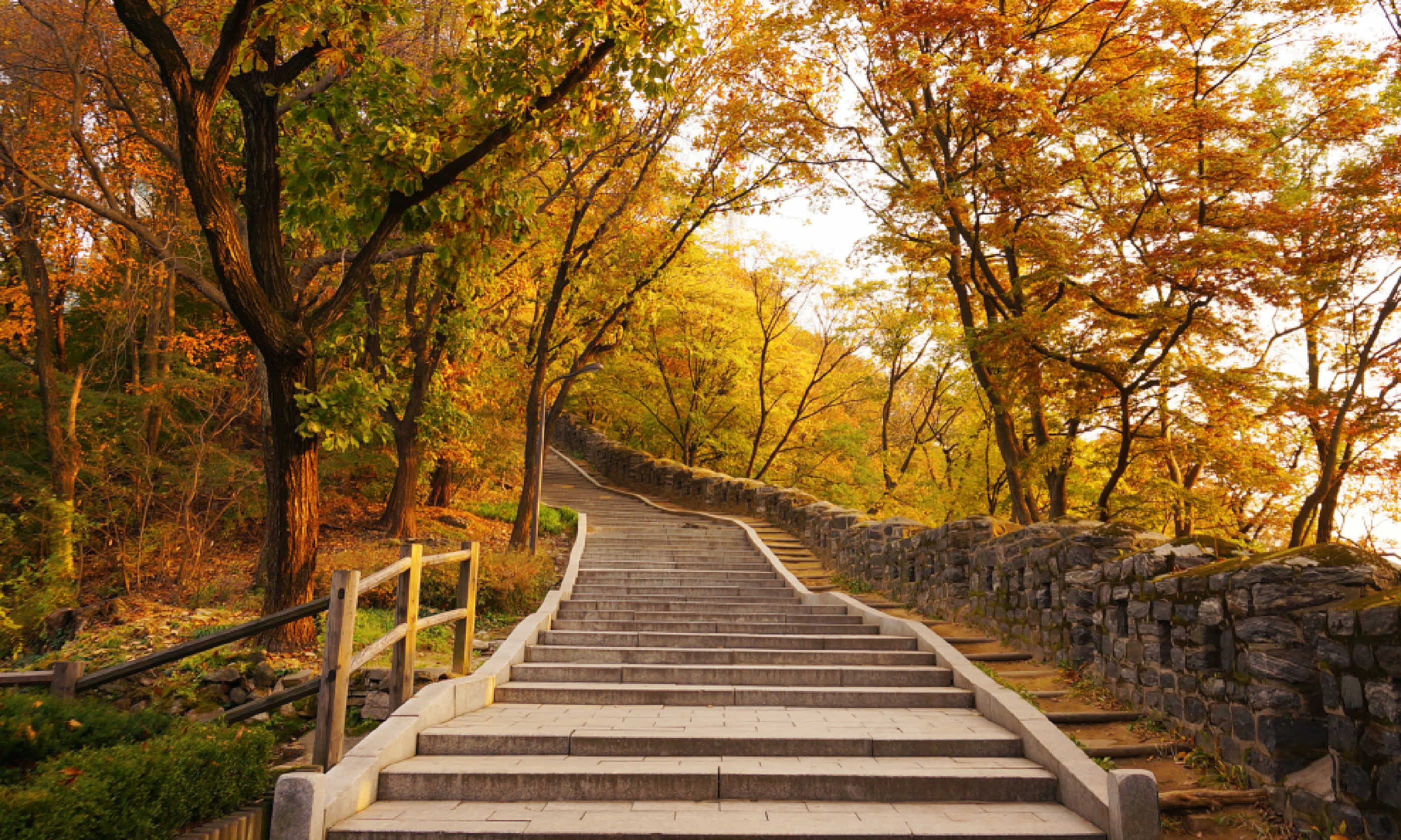 Stairs going uphill during autumn (Shutterstock)