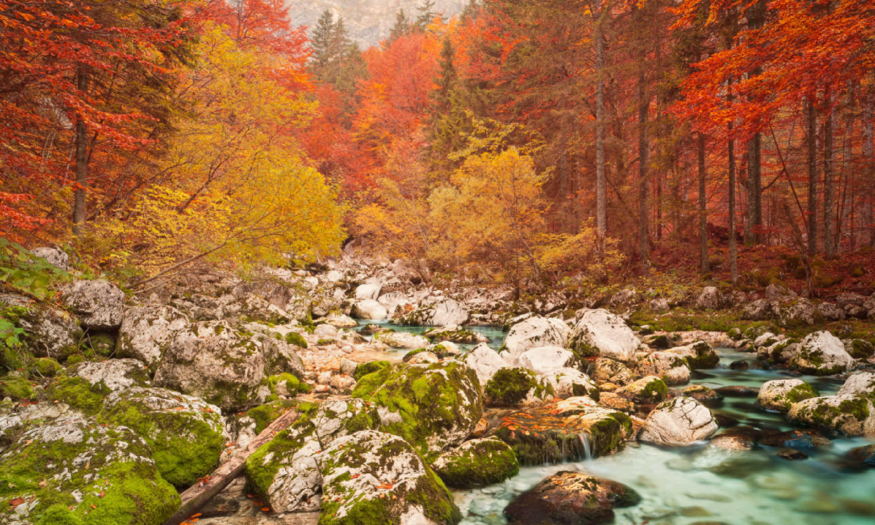Triglav national park, Slovenia (Shutterstock)