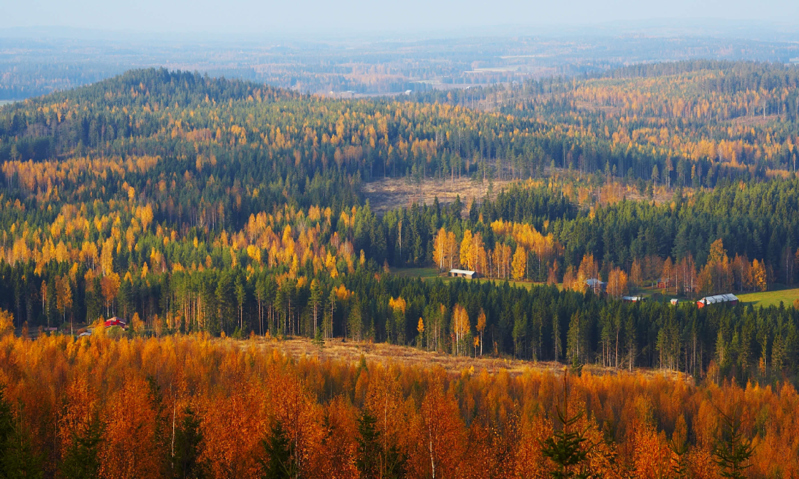 Autumn landscape, Finland (Shutterstock)