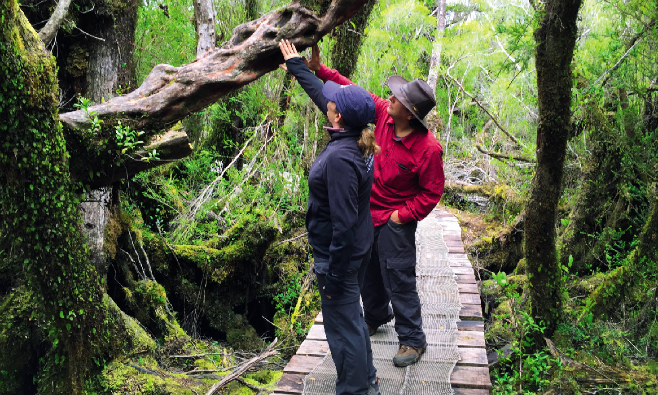 Chiloé National Park (Lyn Hughes)