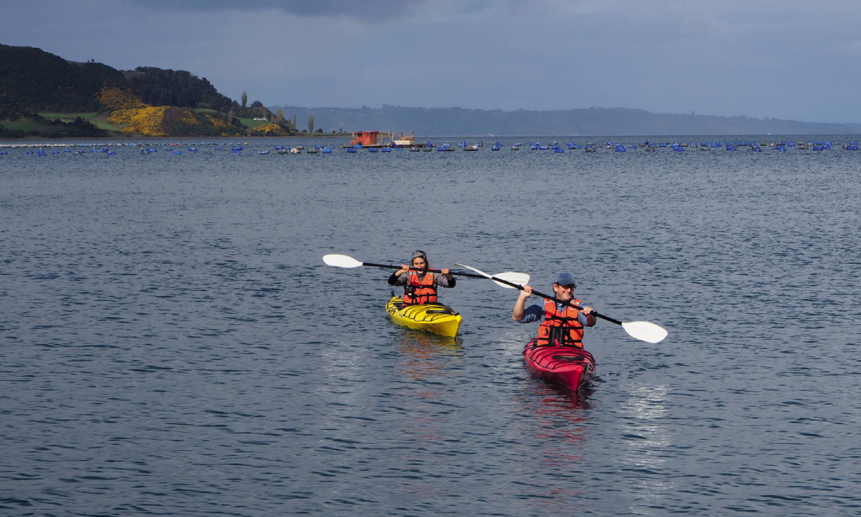 Kayaking on the coast (Simon Hayes/Tierra Chiloé)