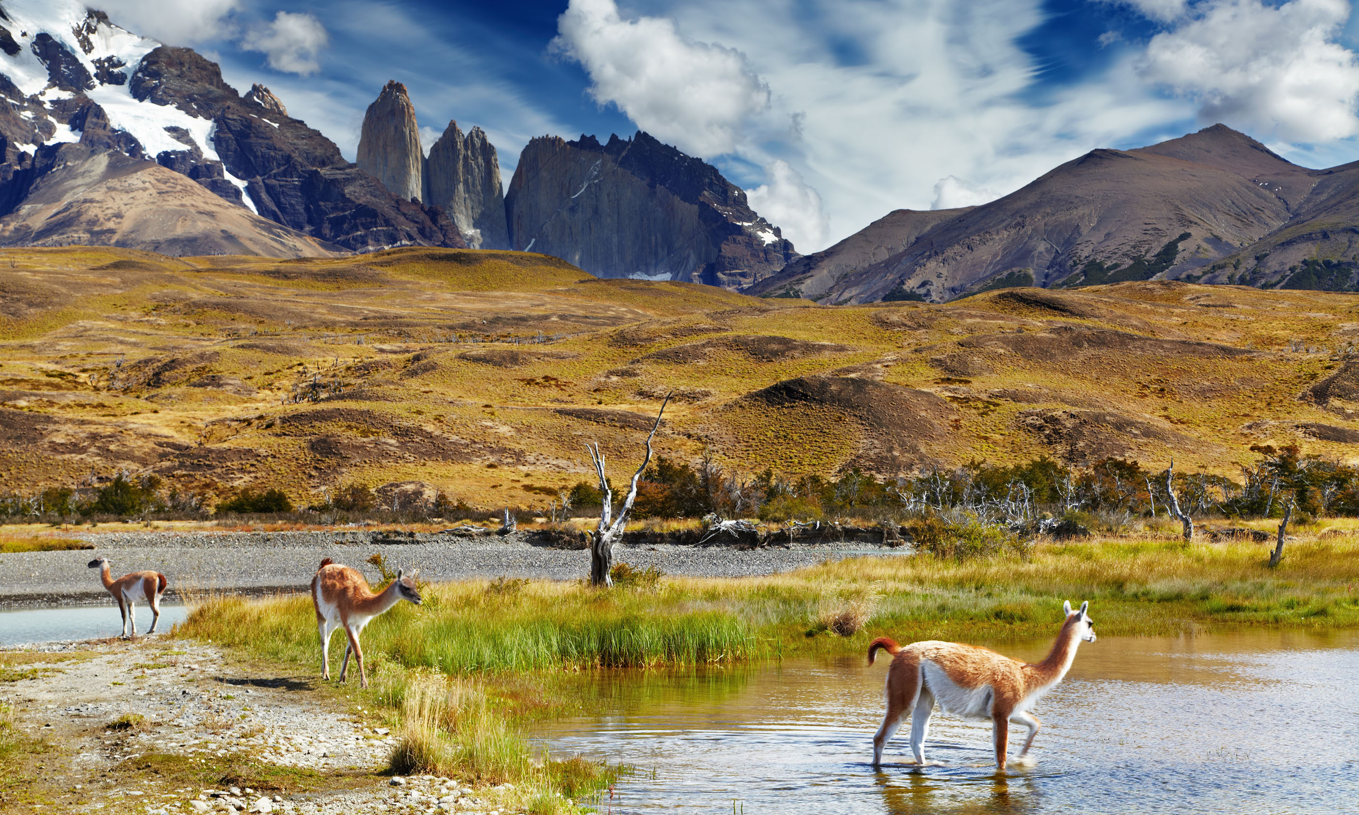 Torres del Paine National Park, Patagonia, Chile (Shutterstock.com. See main credit below)