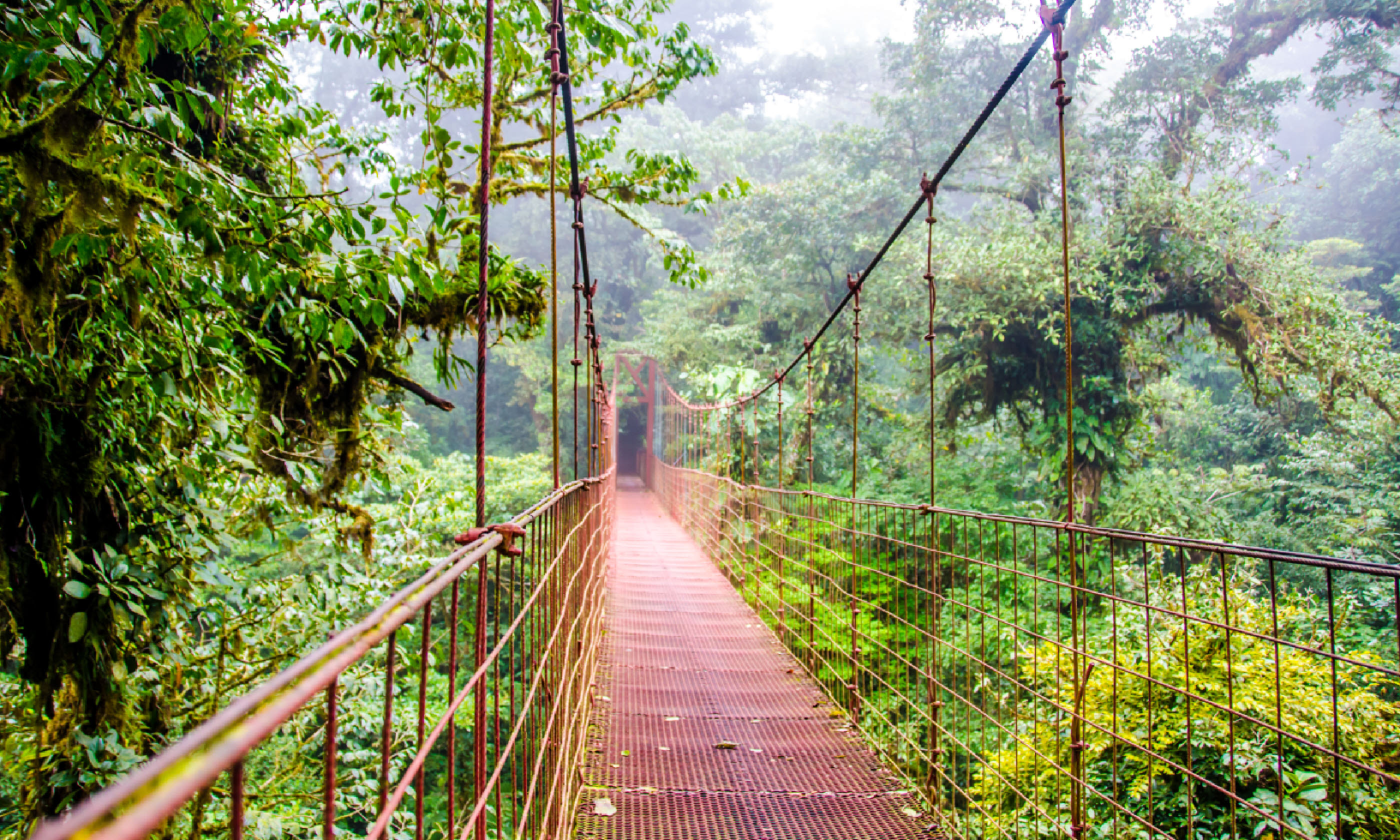 Monteverde (Shutterstock)