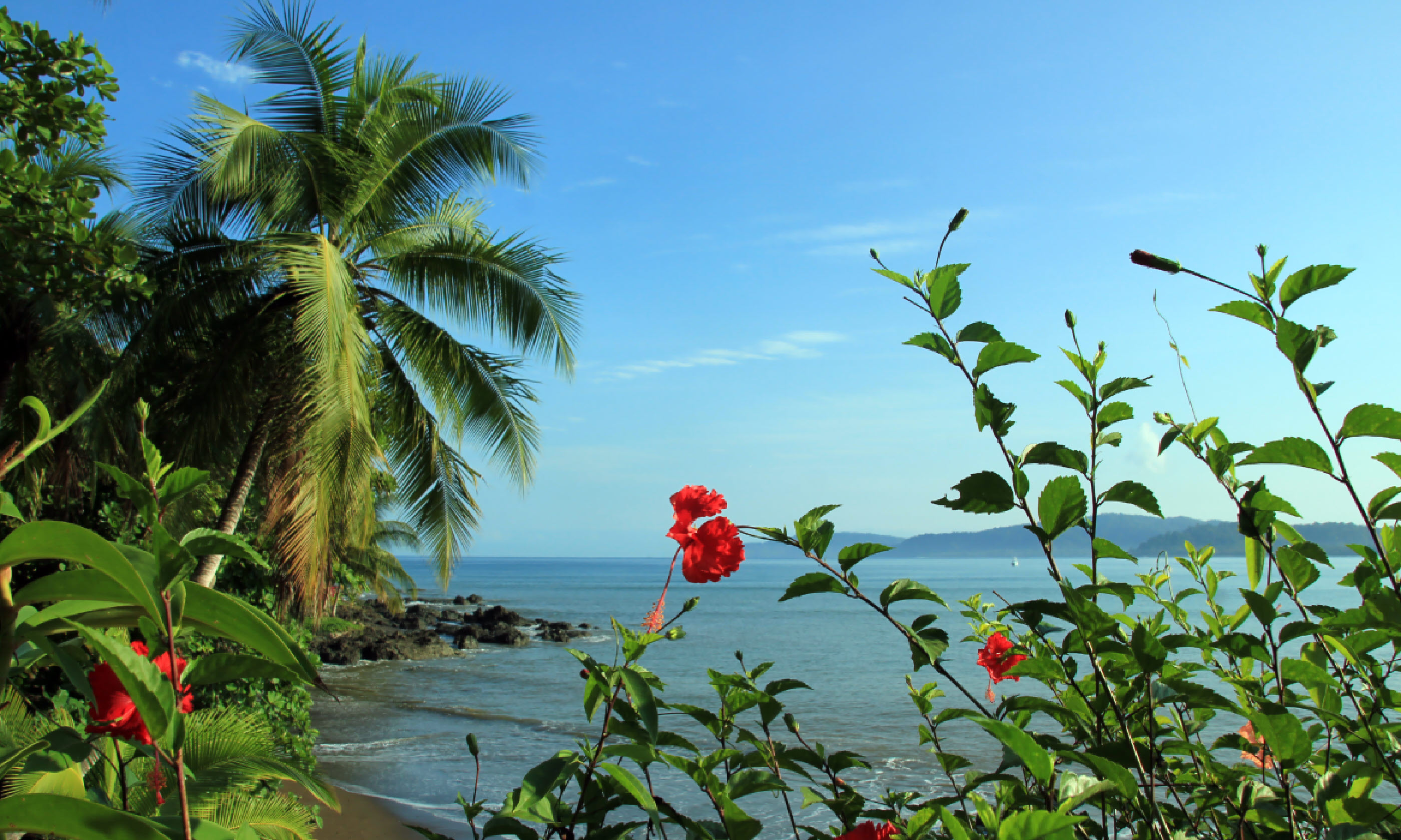 Drake Bay, Osa Peninsula (Shutterstock)