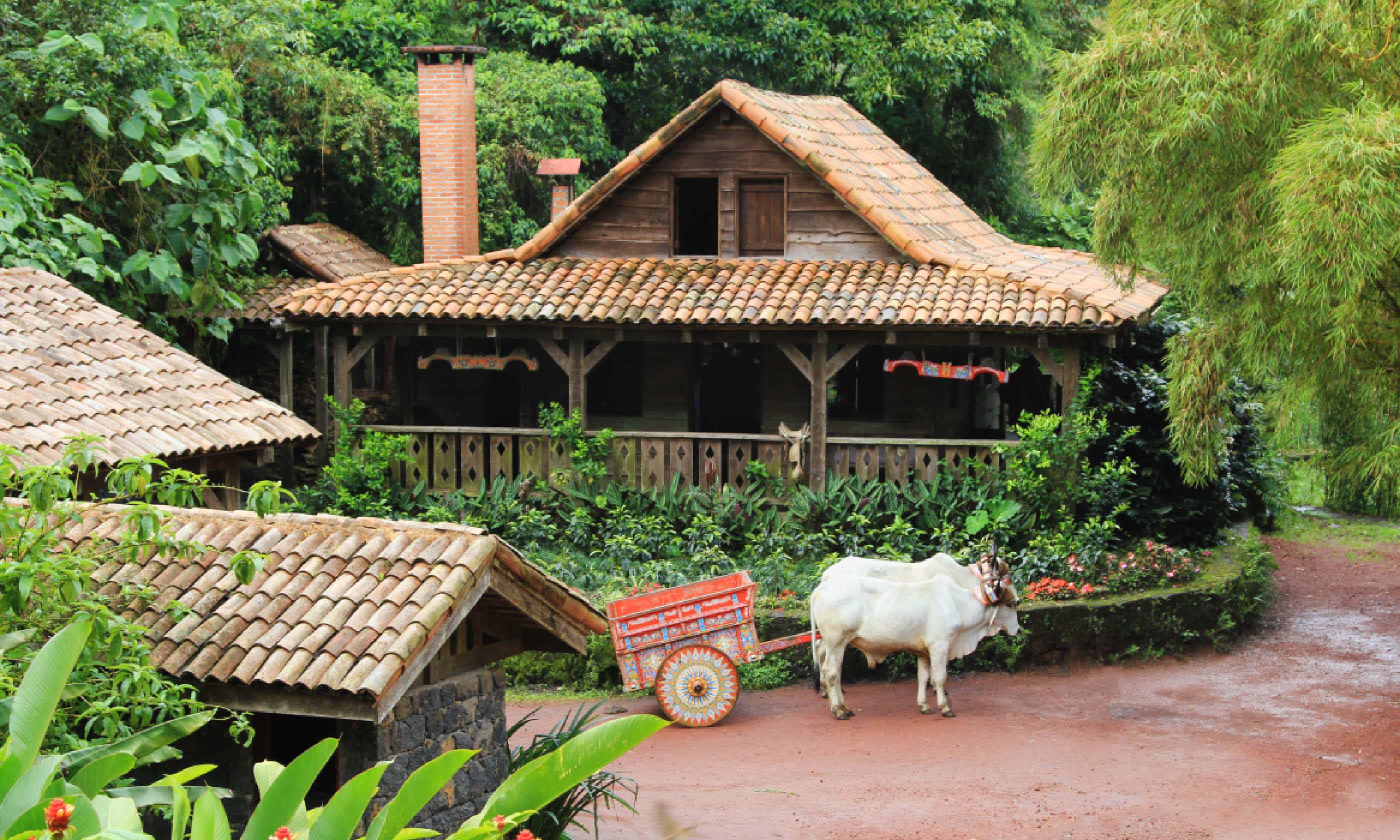 Traditional Costa Rican home (Shutterstock)