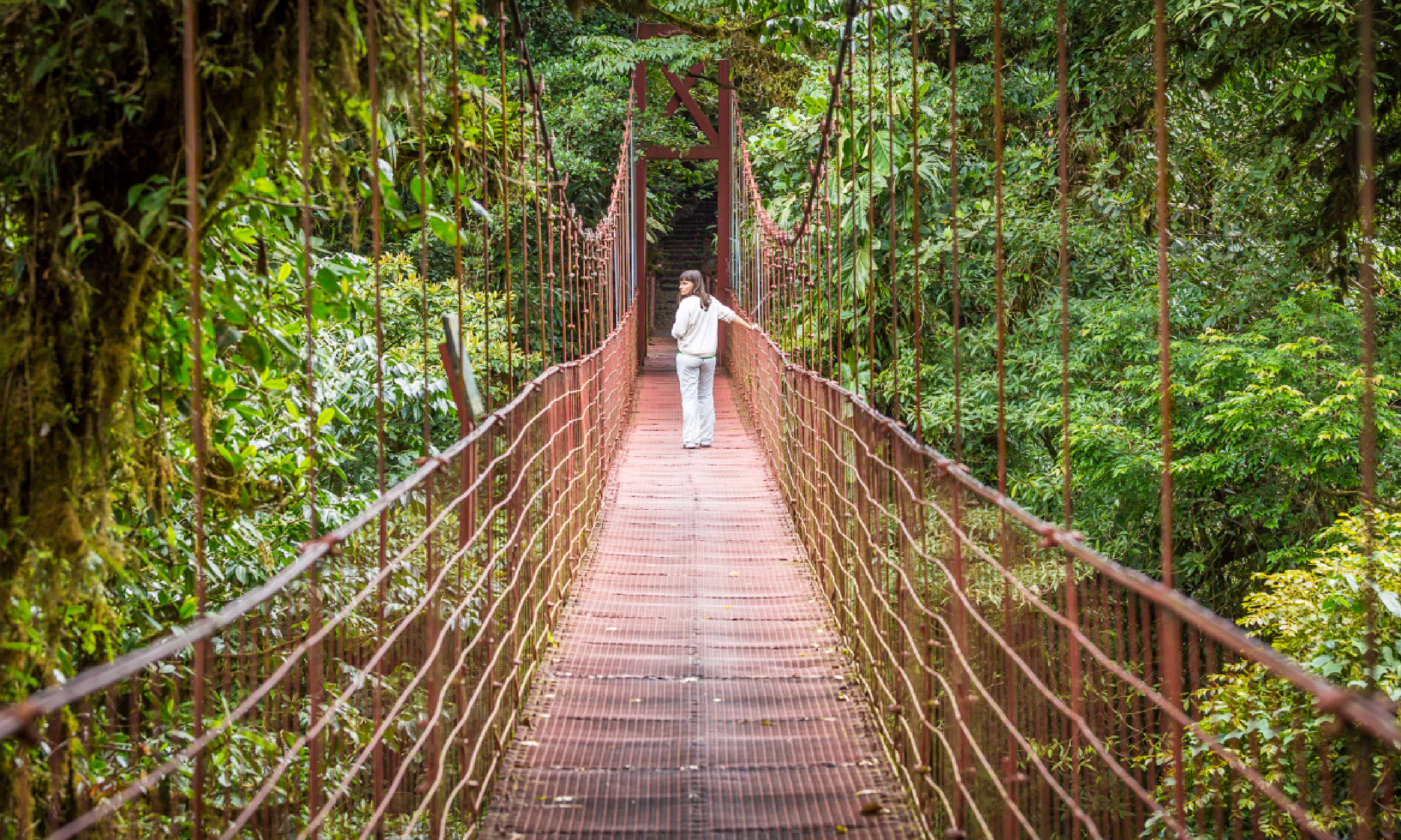Suspended bridges in Monteverde (Shutterstock)