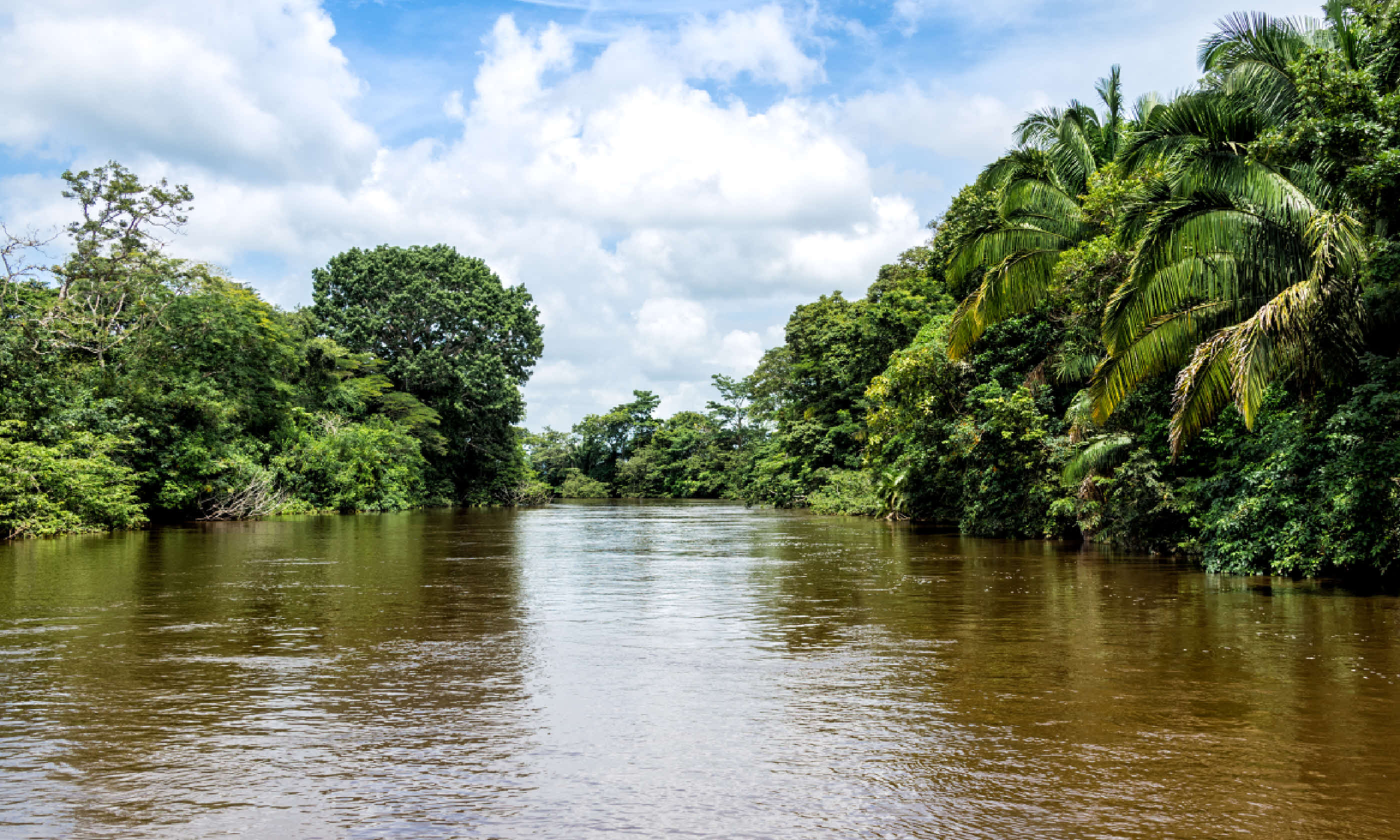 Frio River in Costa Rica (Dreamstime)