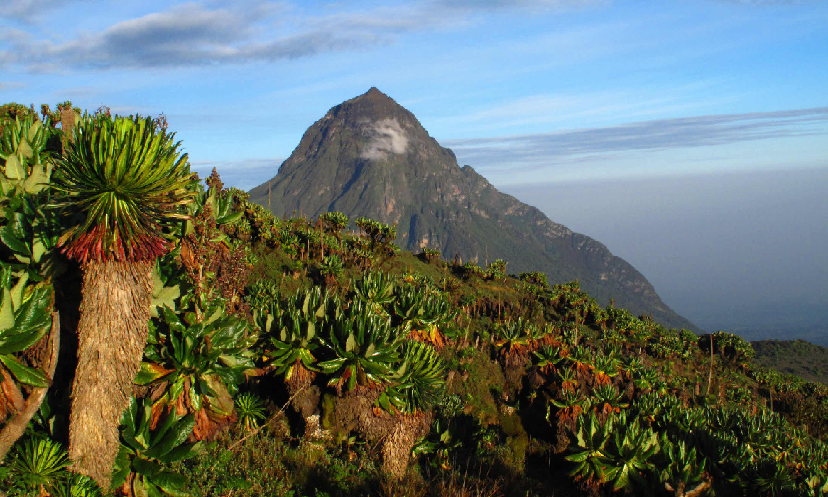 Mikeno volcano – DR Congo (Shutterstock)