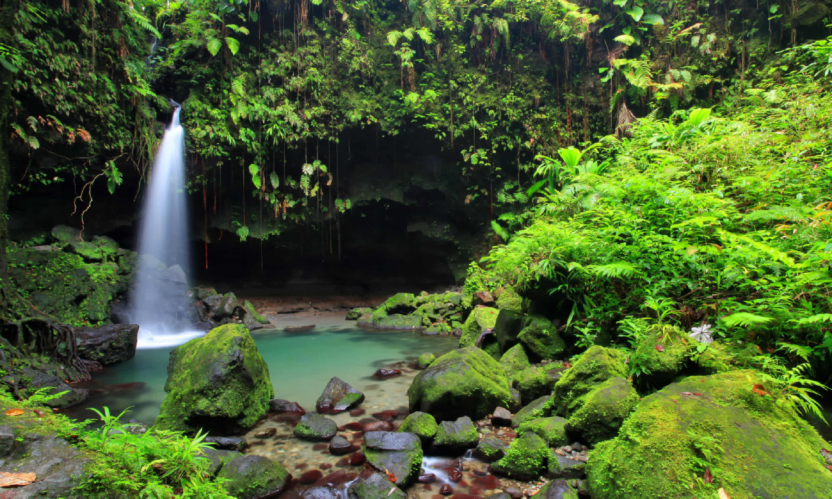 Emerald pool waterfall in Dominica (Shutterstock)