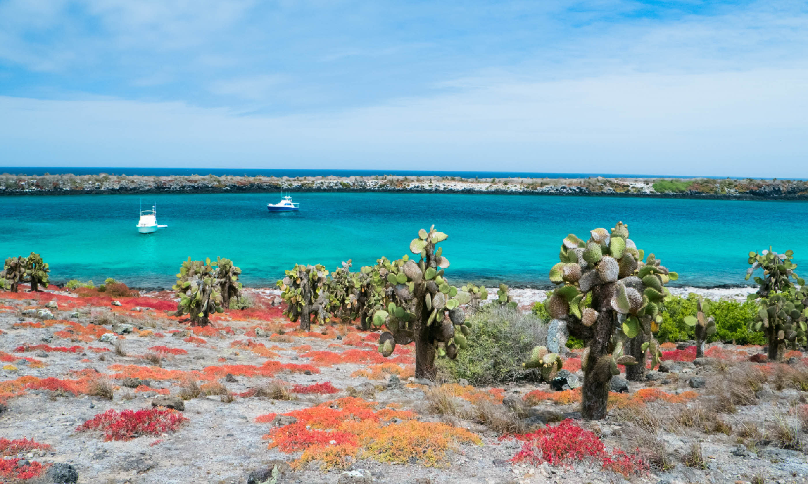 Galapagos South Plaza island (Shutterstock)