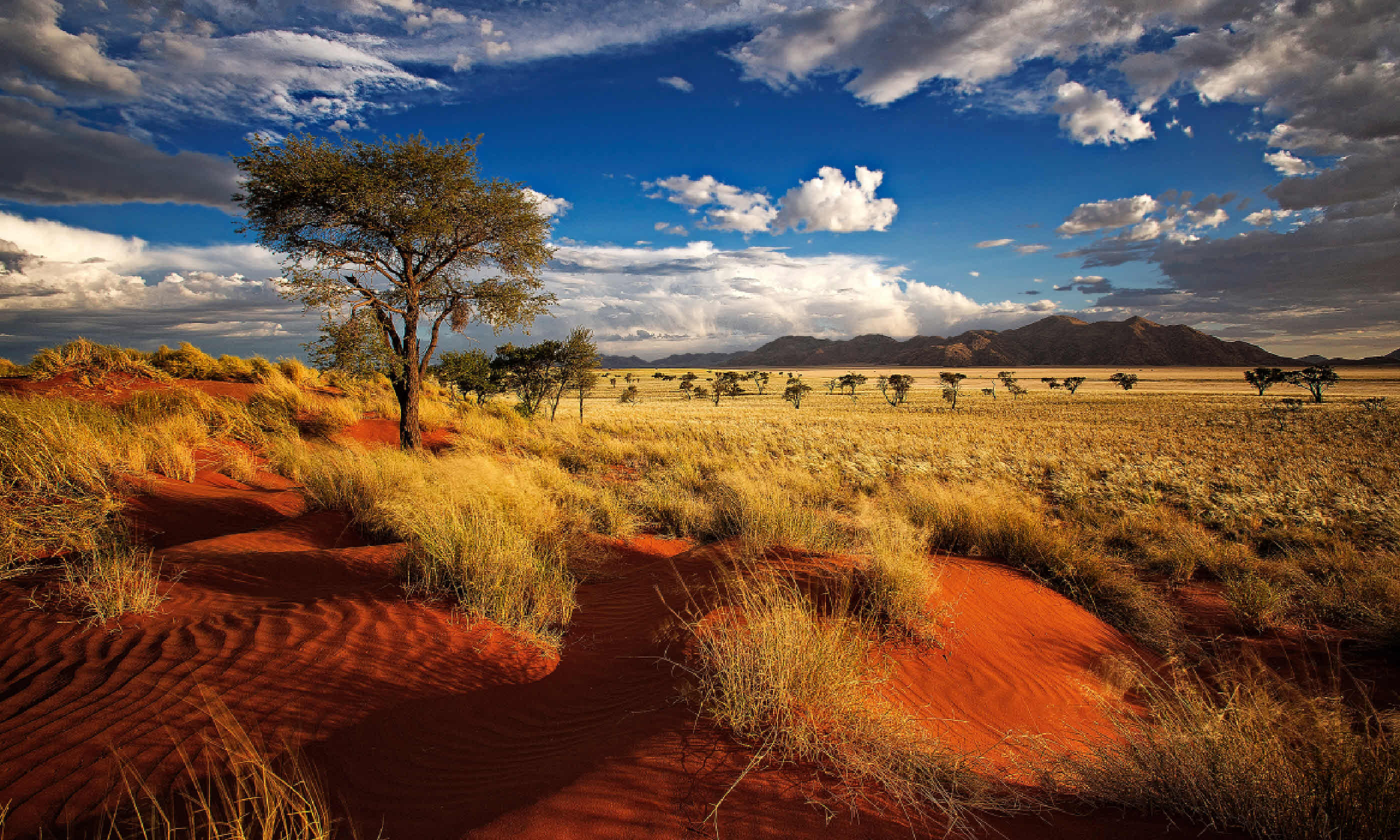 Private nature reserve in Namibia (Shutterstock)