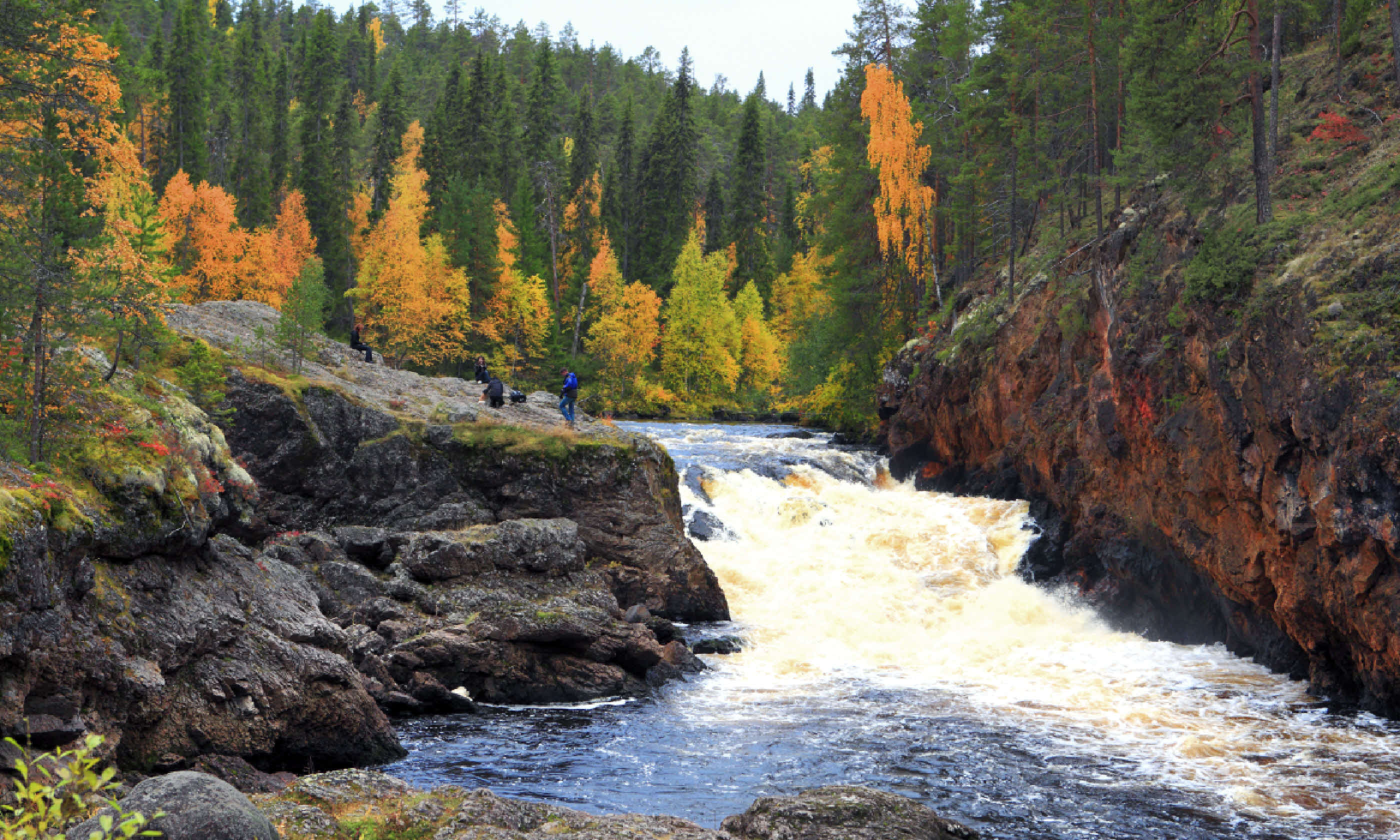 Oulanka river (Dreamstime)